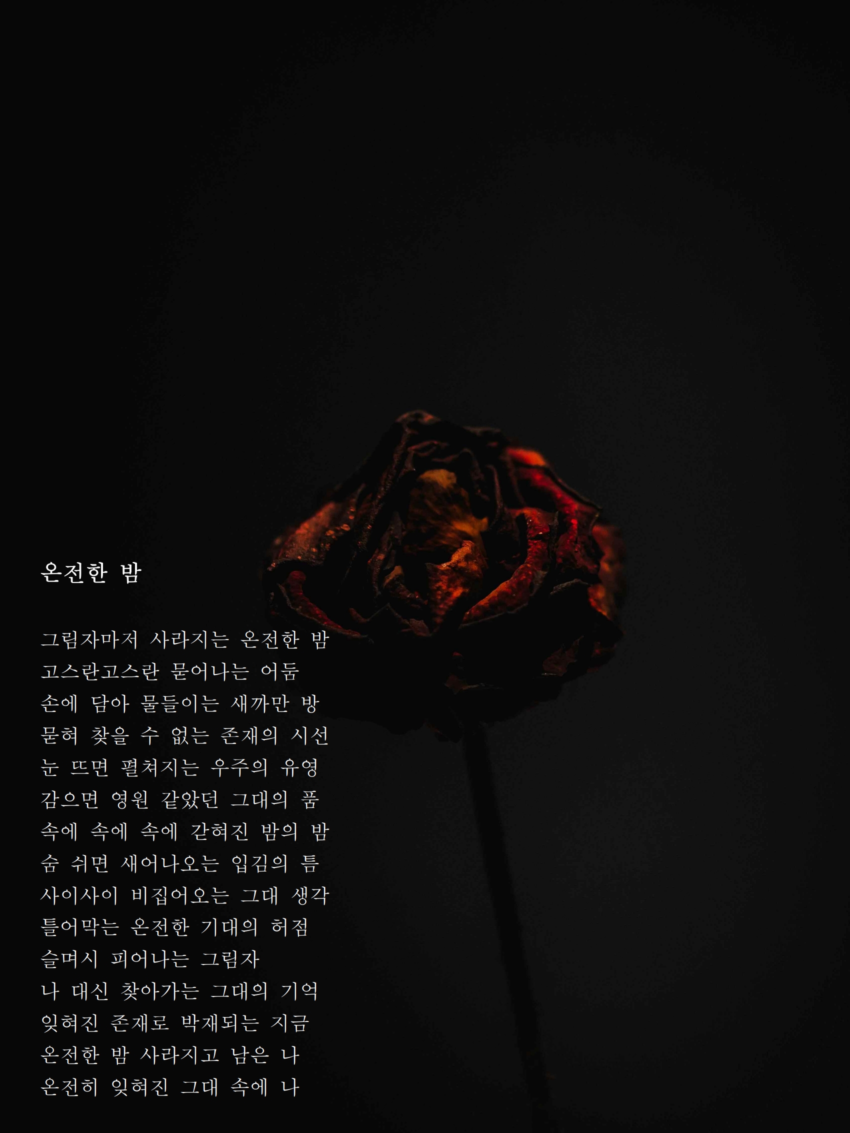 온전한 밤.jpg