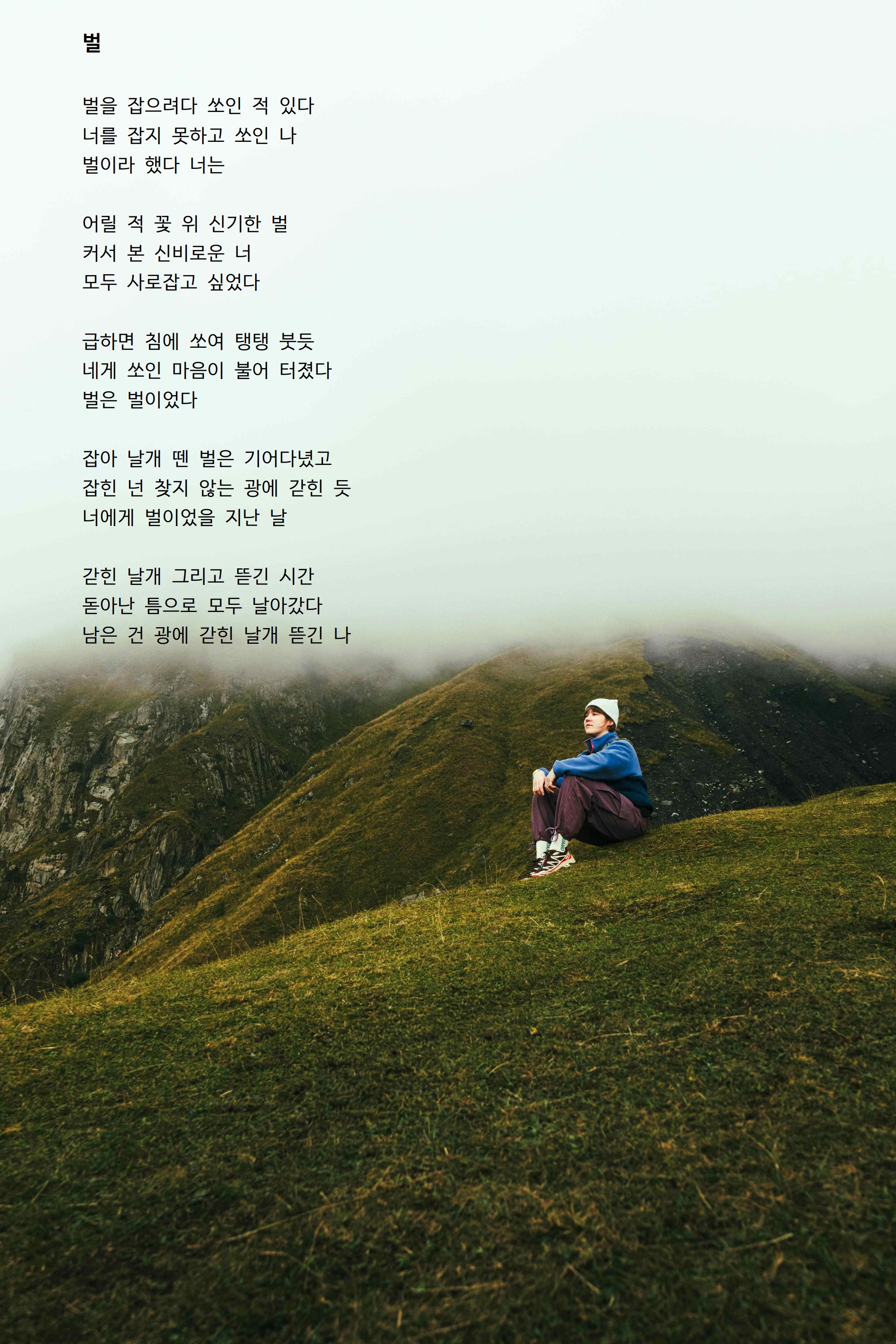 벌.jpg