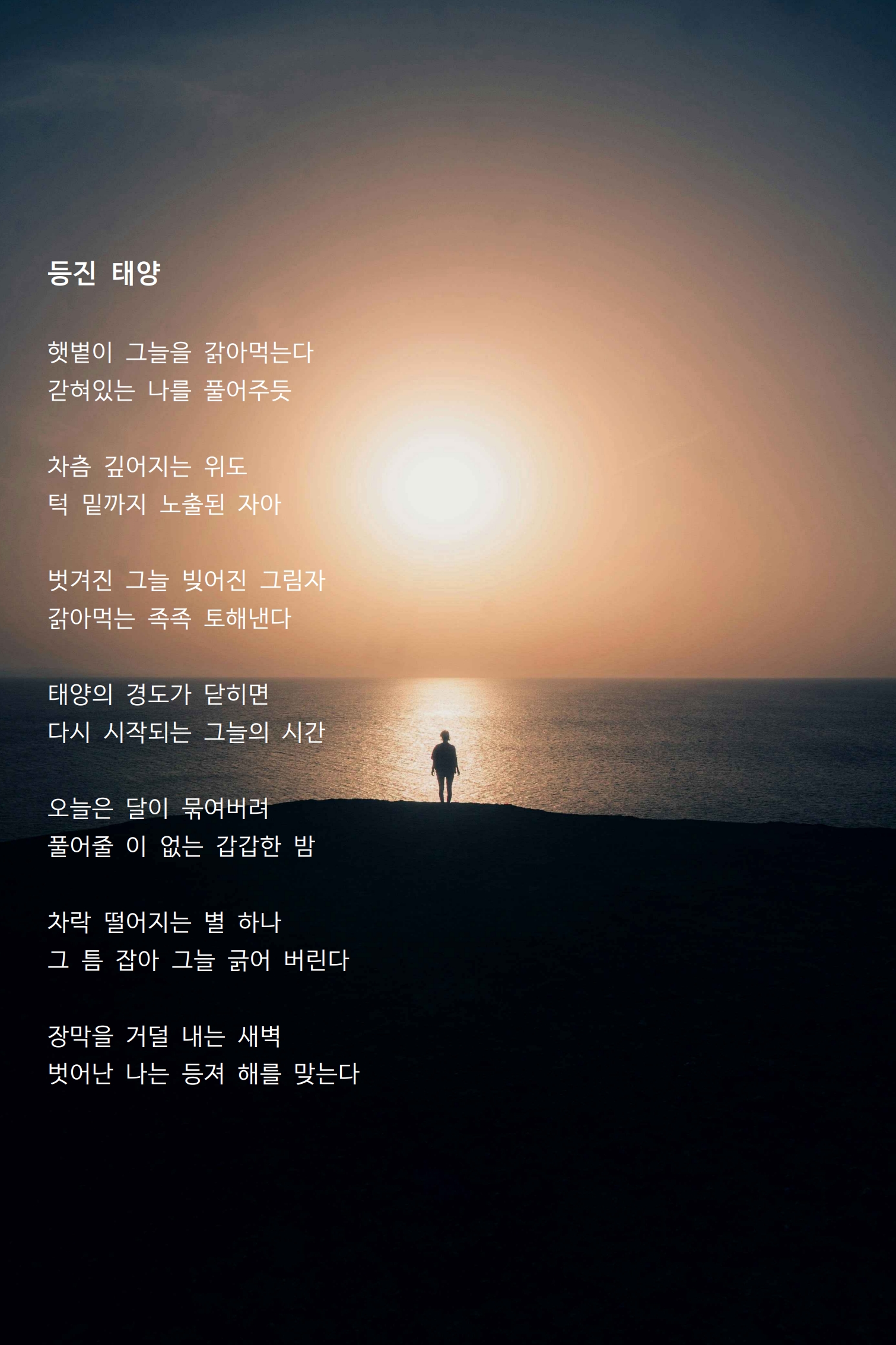 등진 태양.jpg