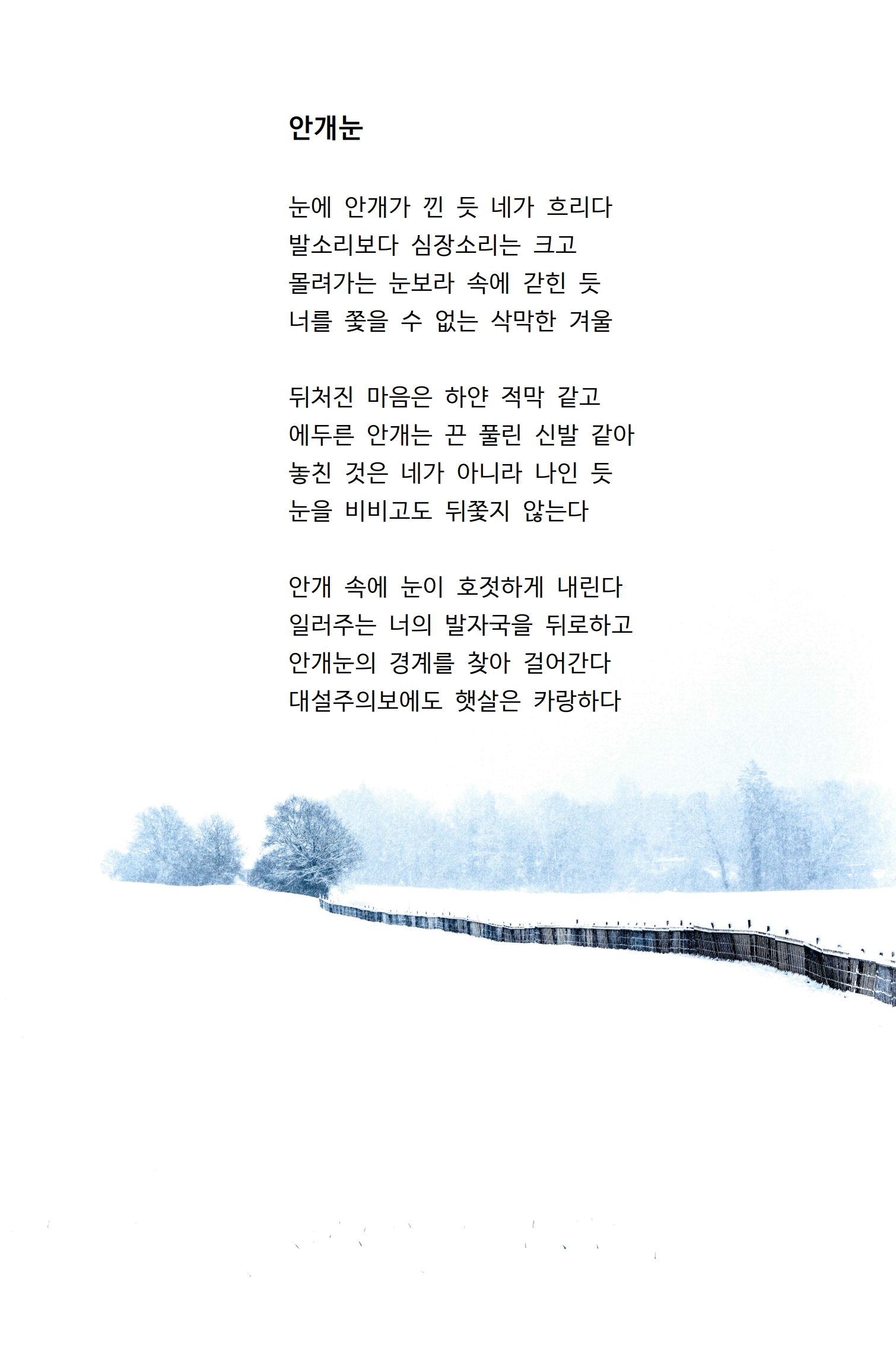 안개눈.jpg