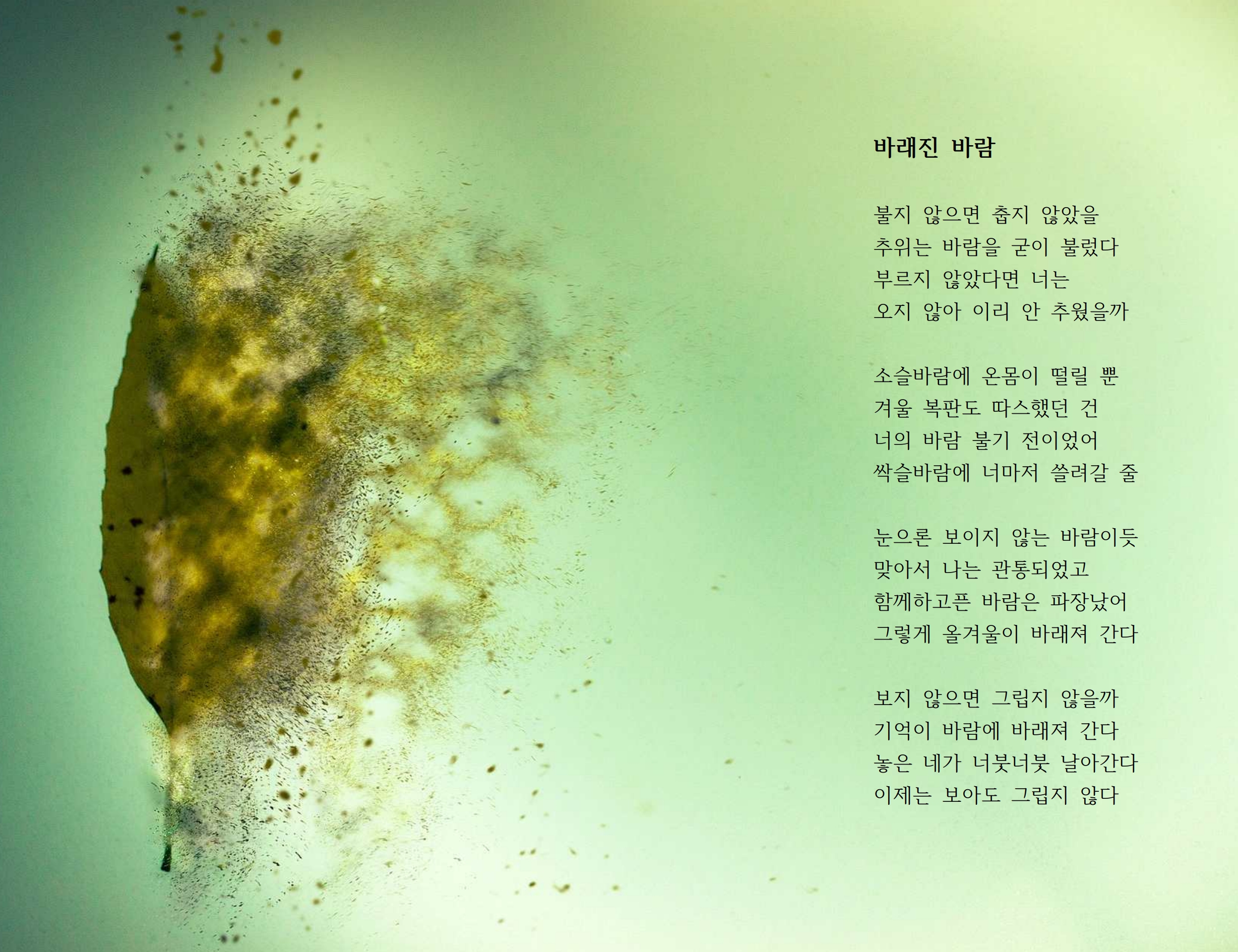 바래진 바람.jpg