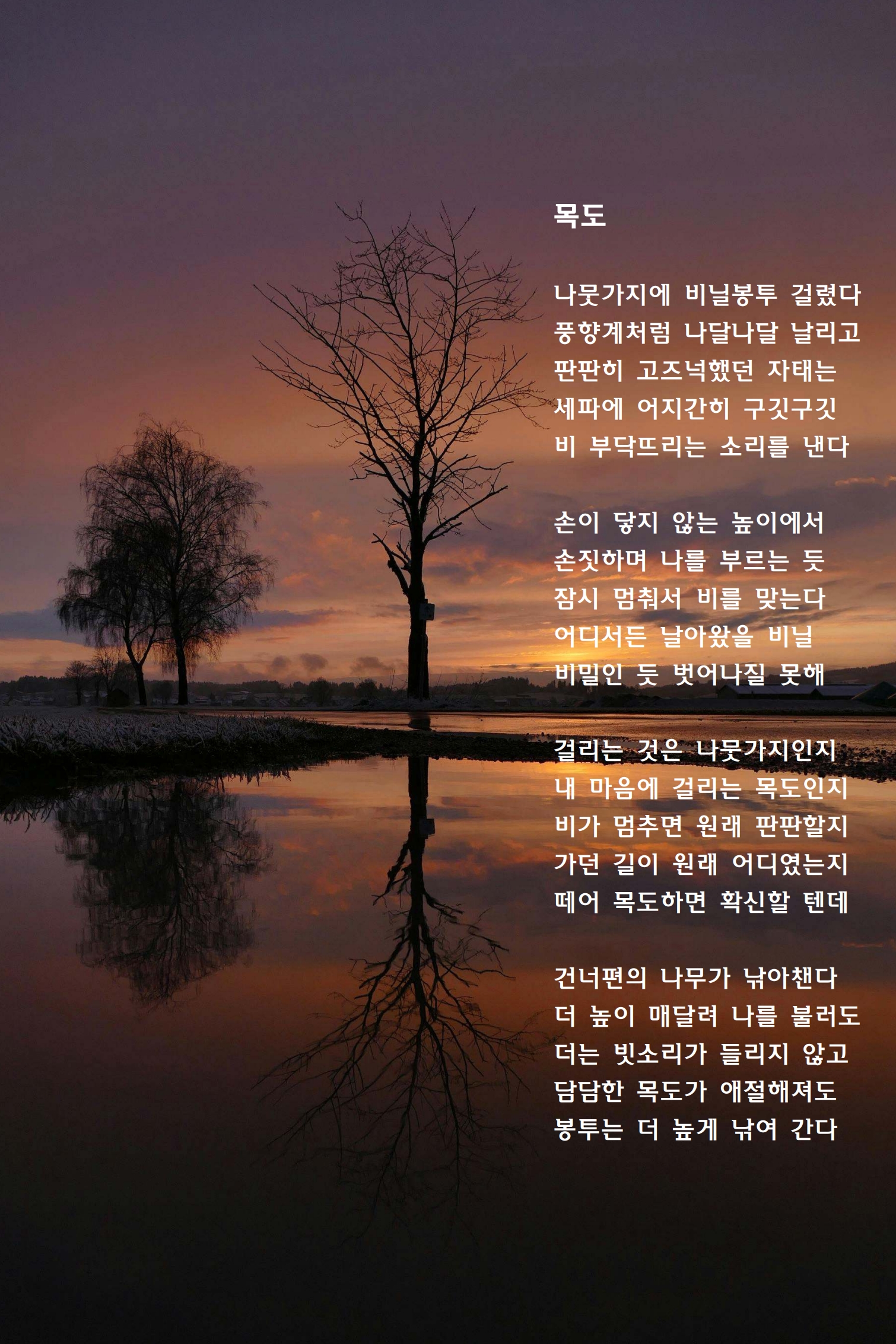 목도.jpg