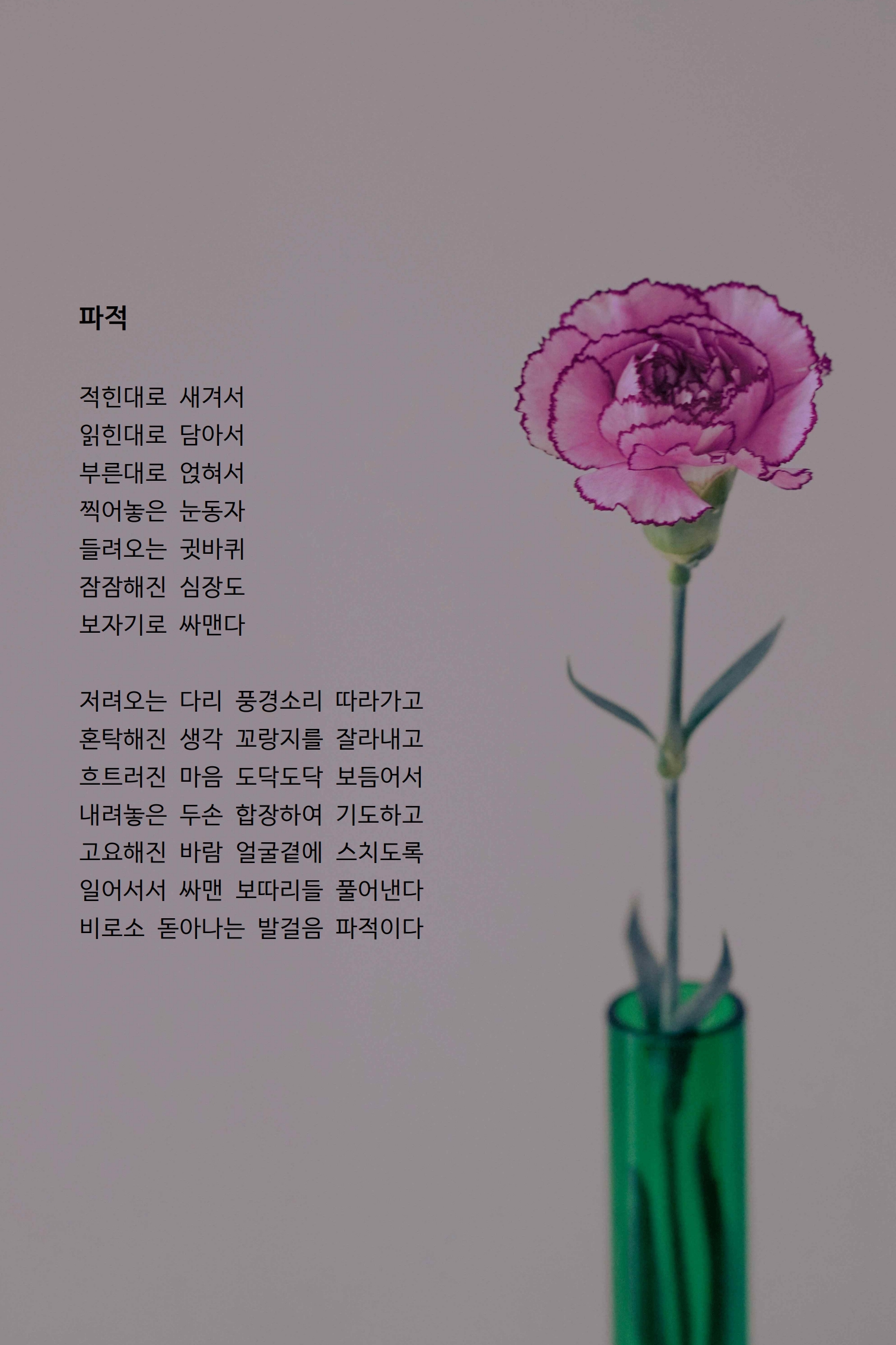 파적.jpg