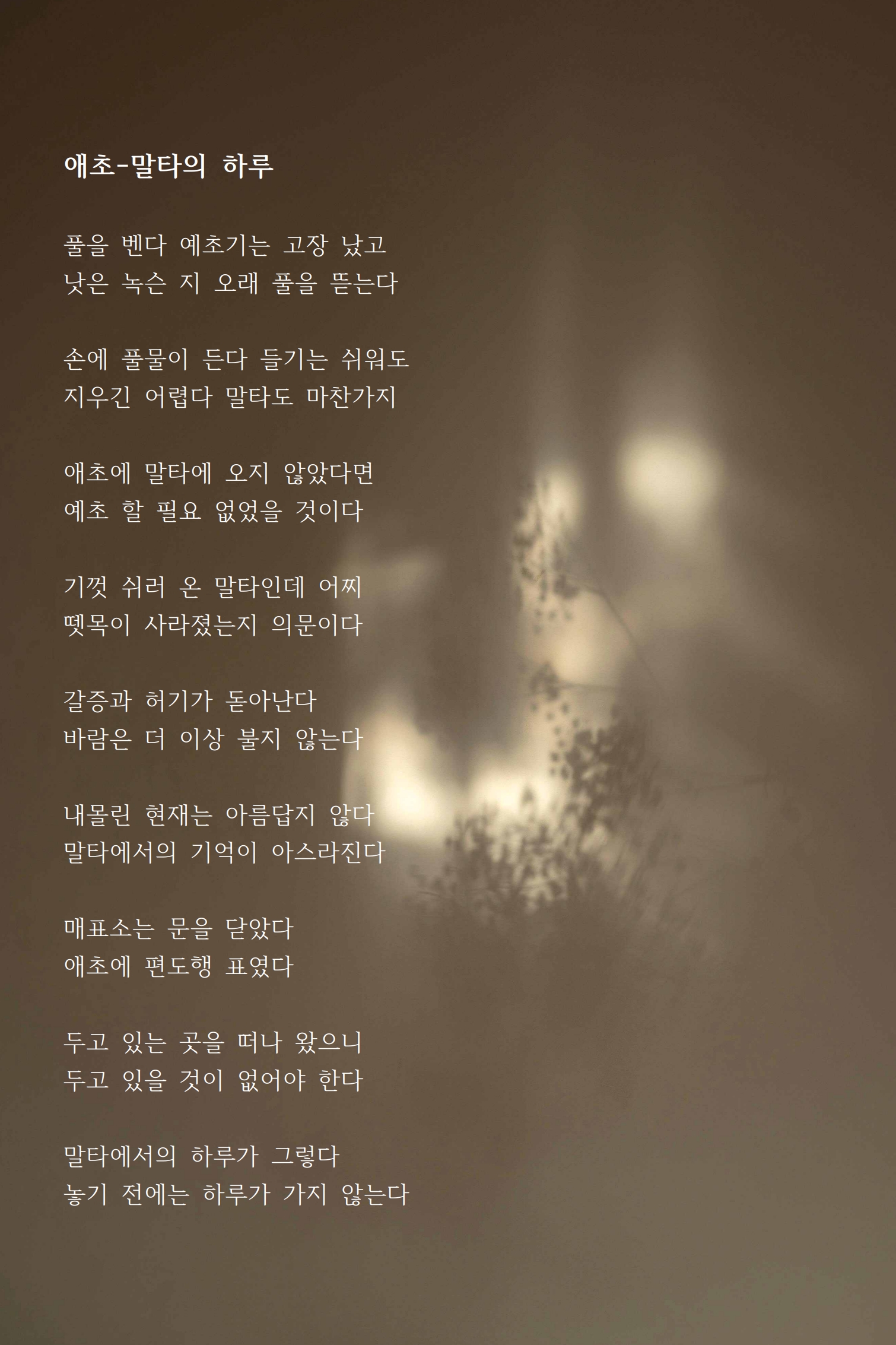 애초-말타의 하루.jpg