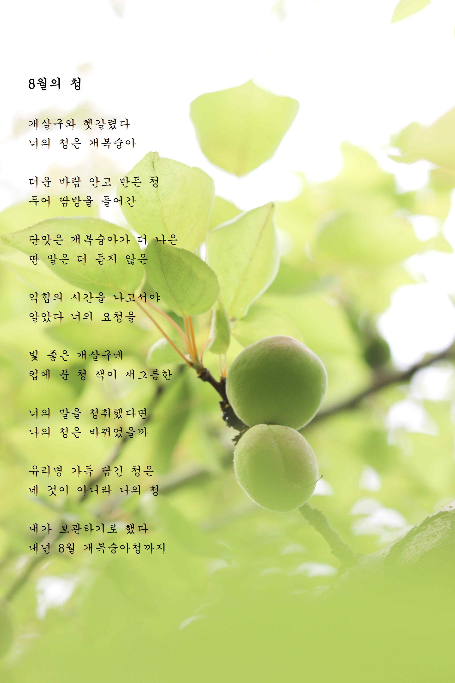 8월의 청.jpg