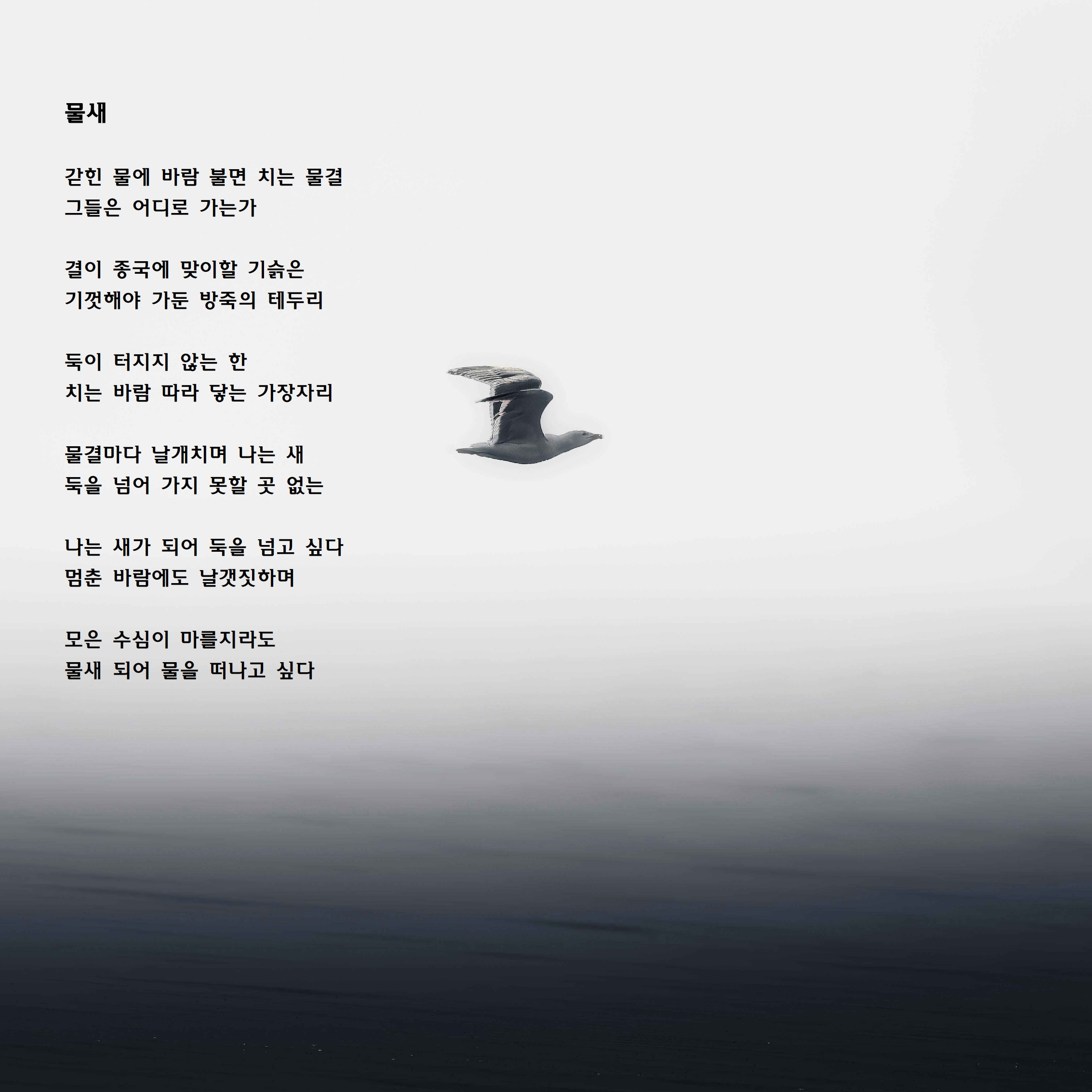 물새.jpg