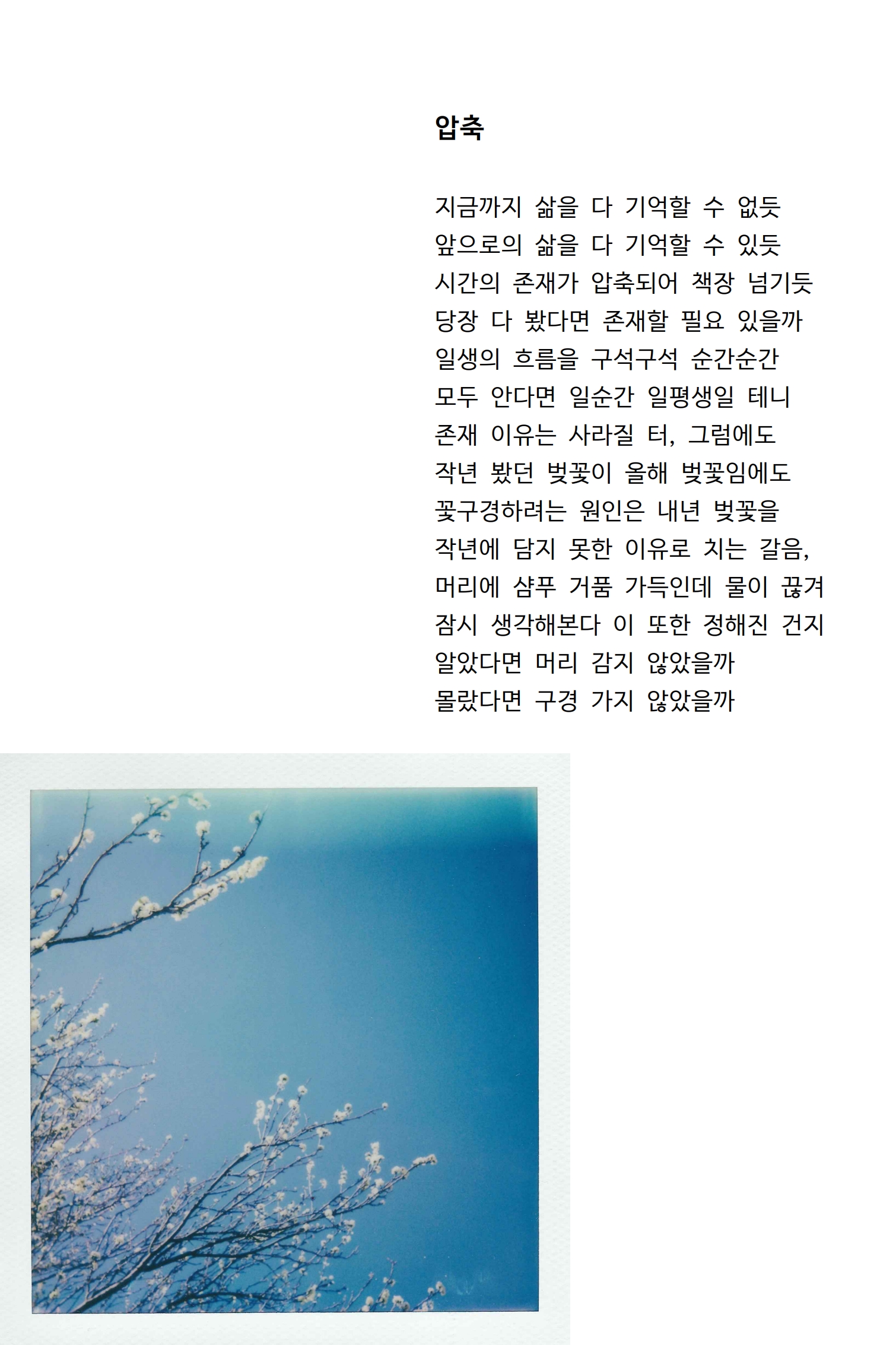압축.jpg