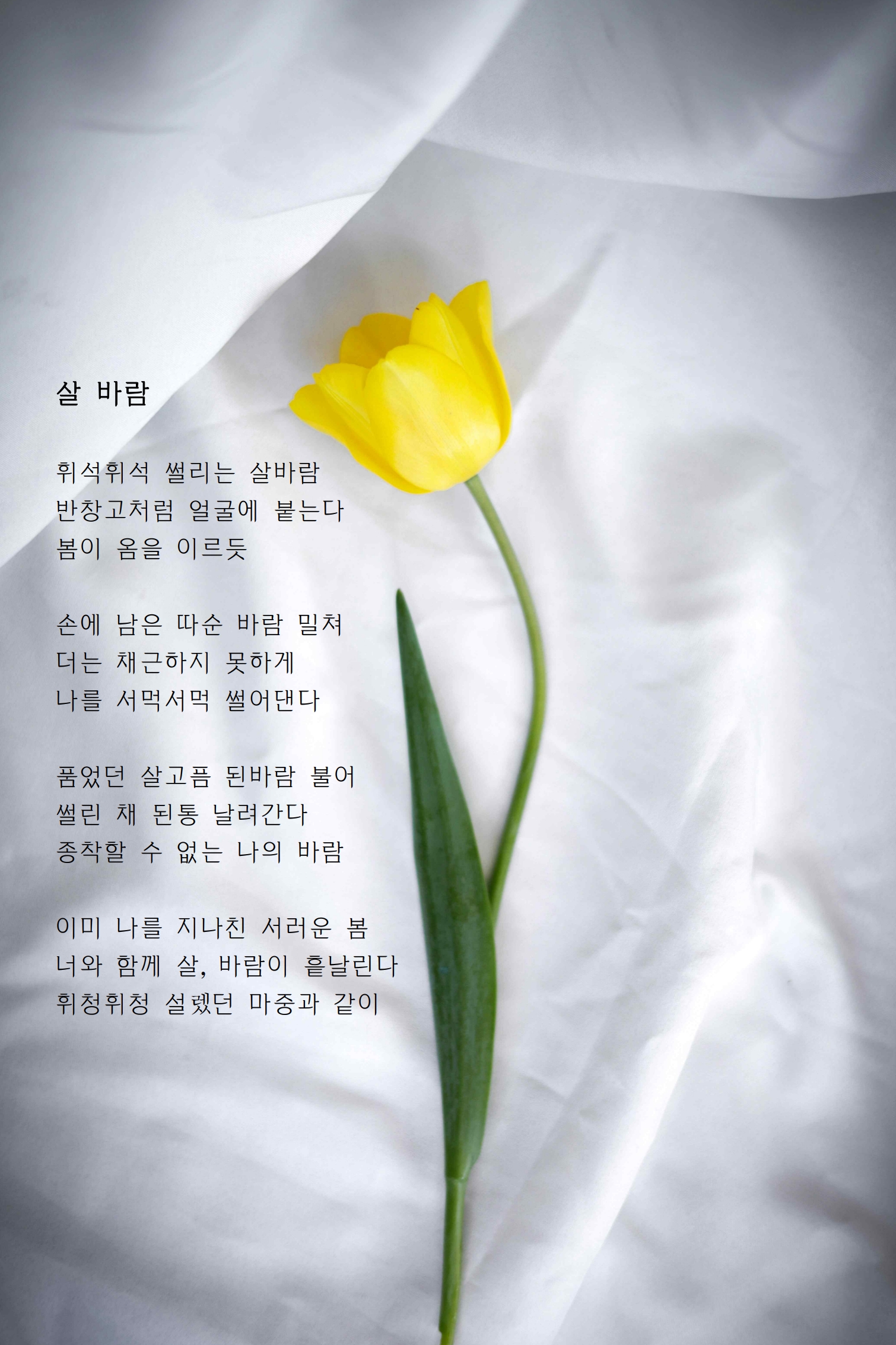 살 바람.jpg