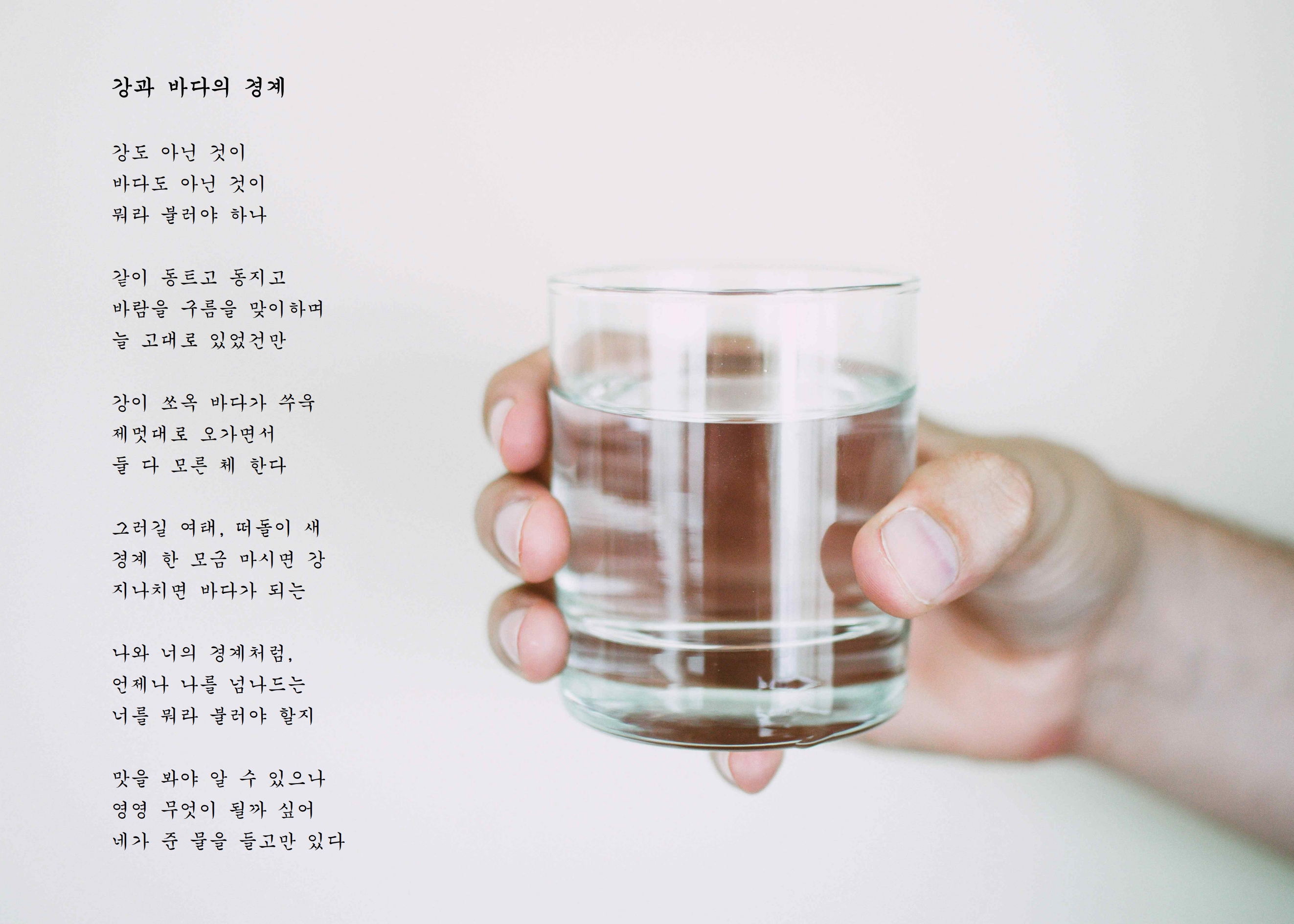 강과 바다의 경계.jpg