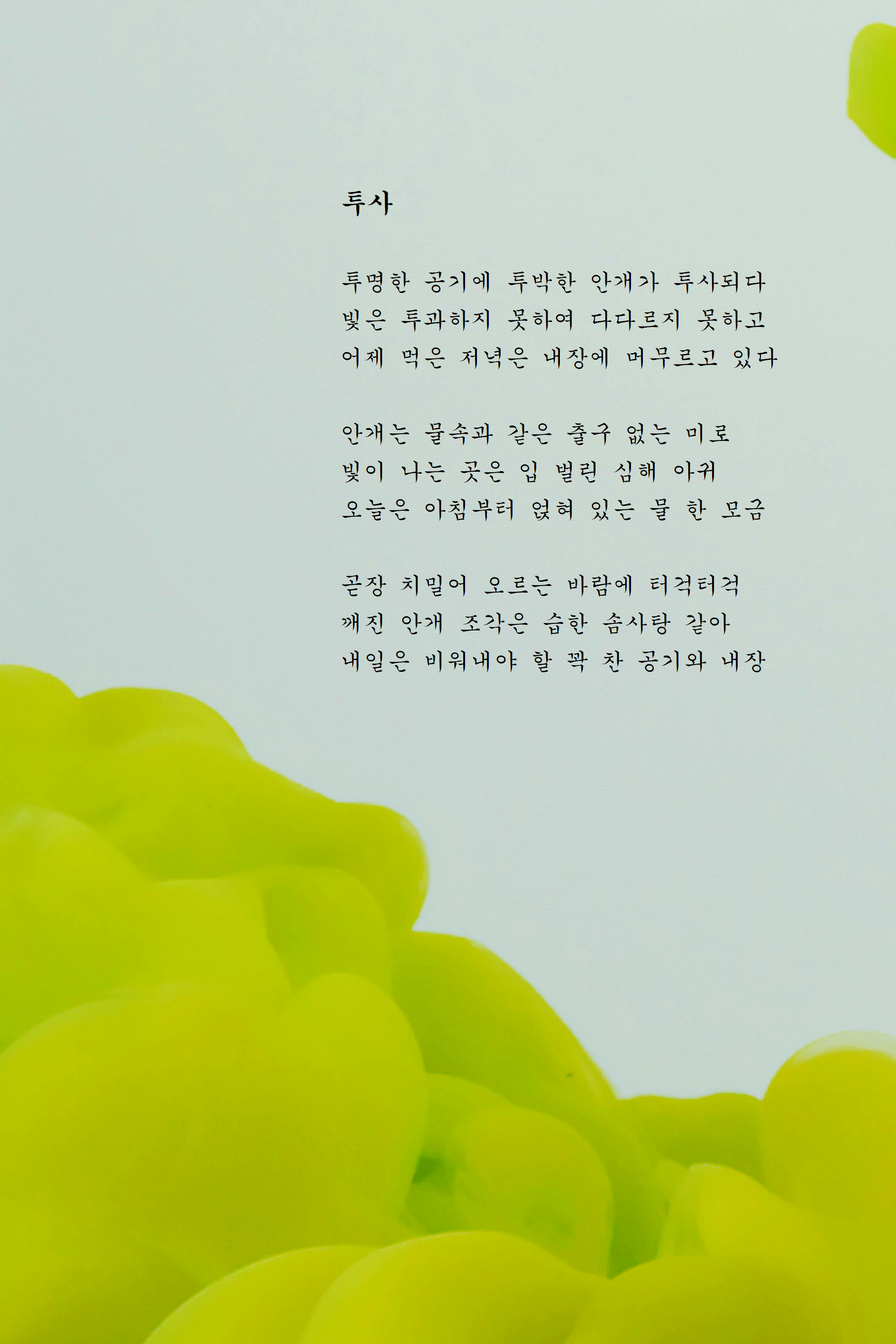 투사.gif