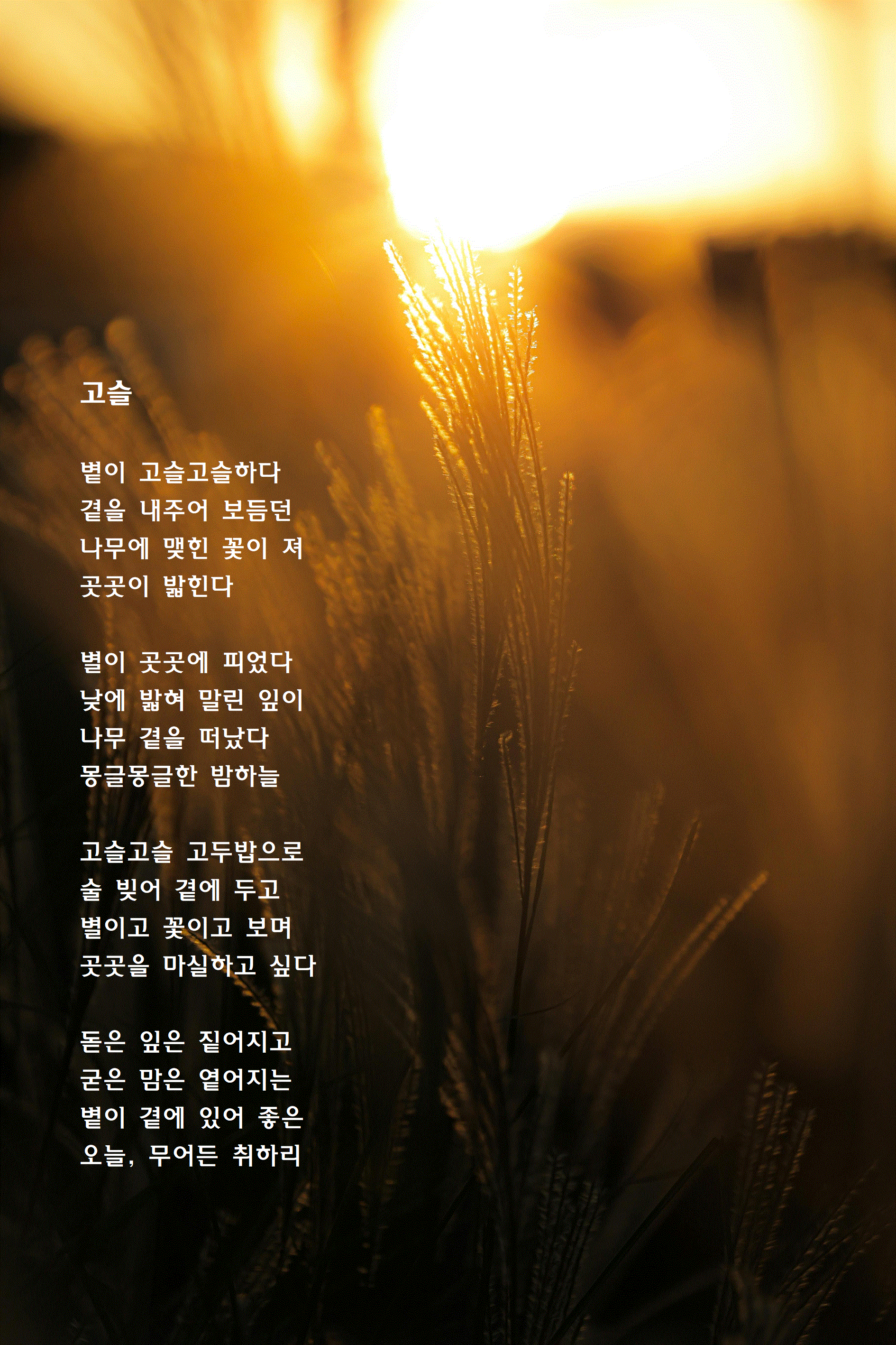 고슬.gif