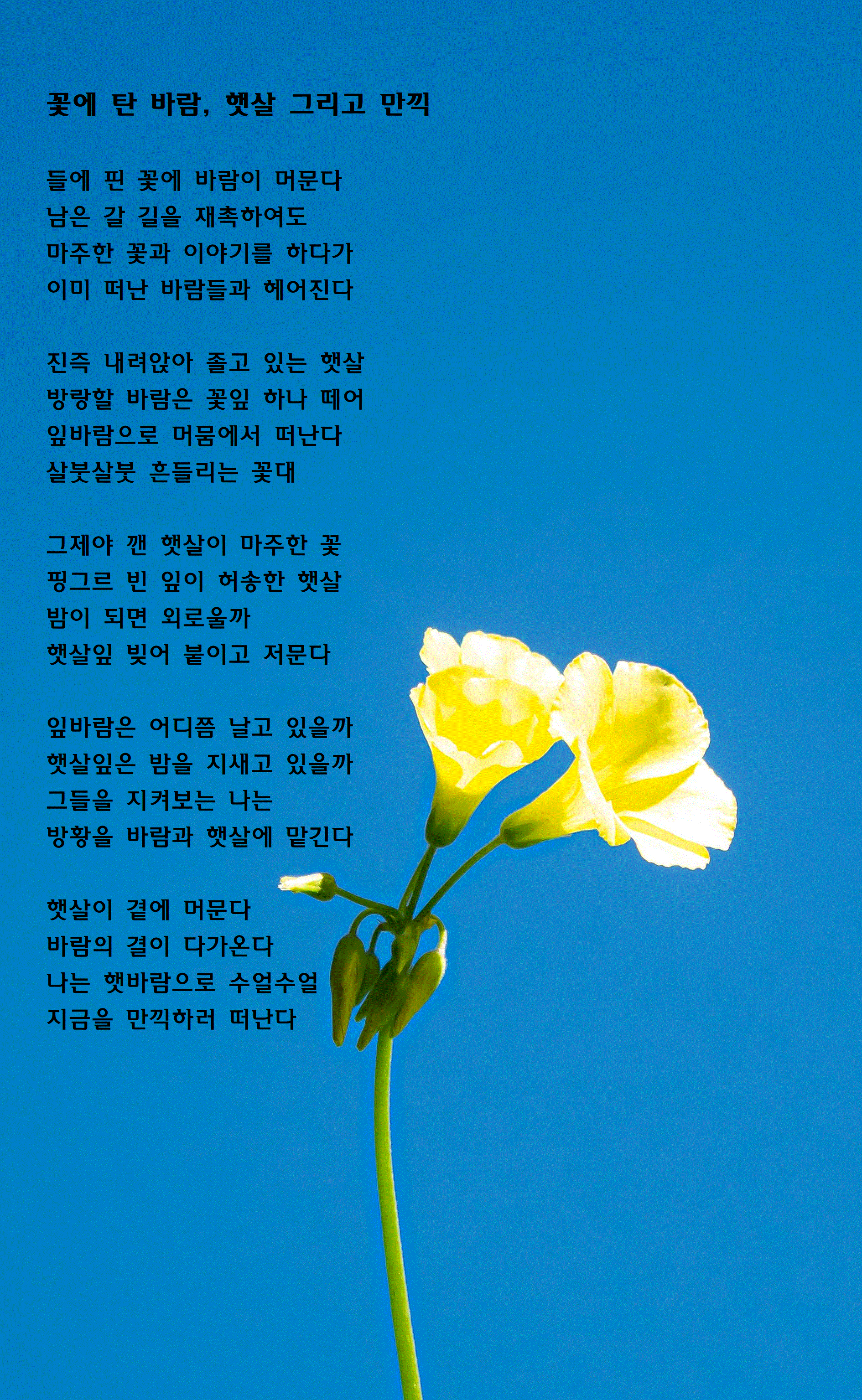 꽃에 탄 바람, 햇살 그리고 만끽.gif