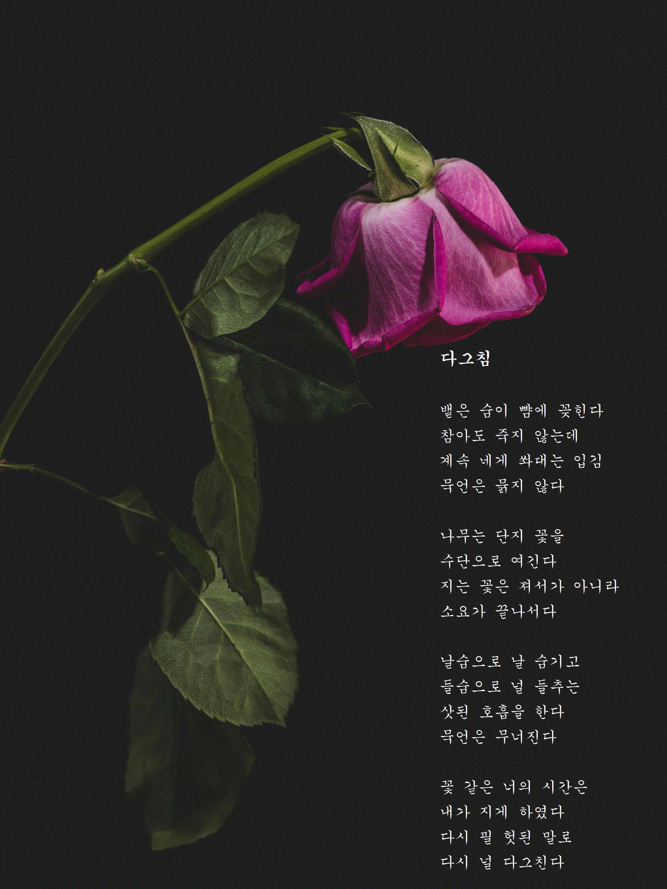 다그침.gif