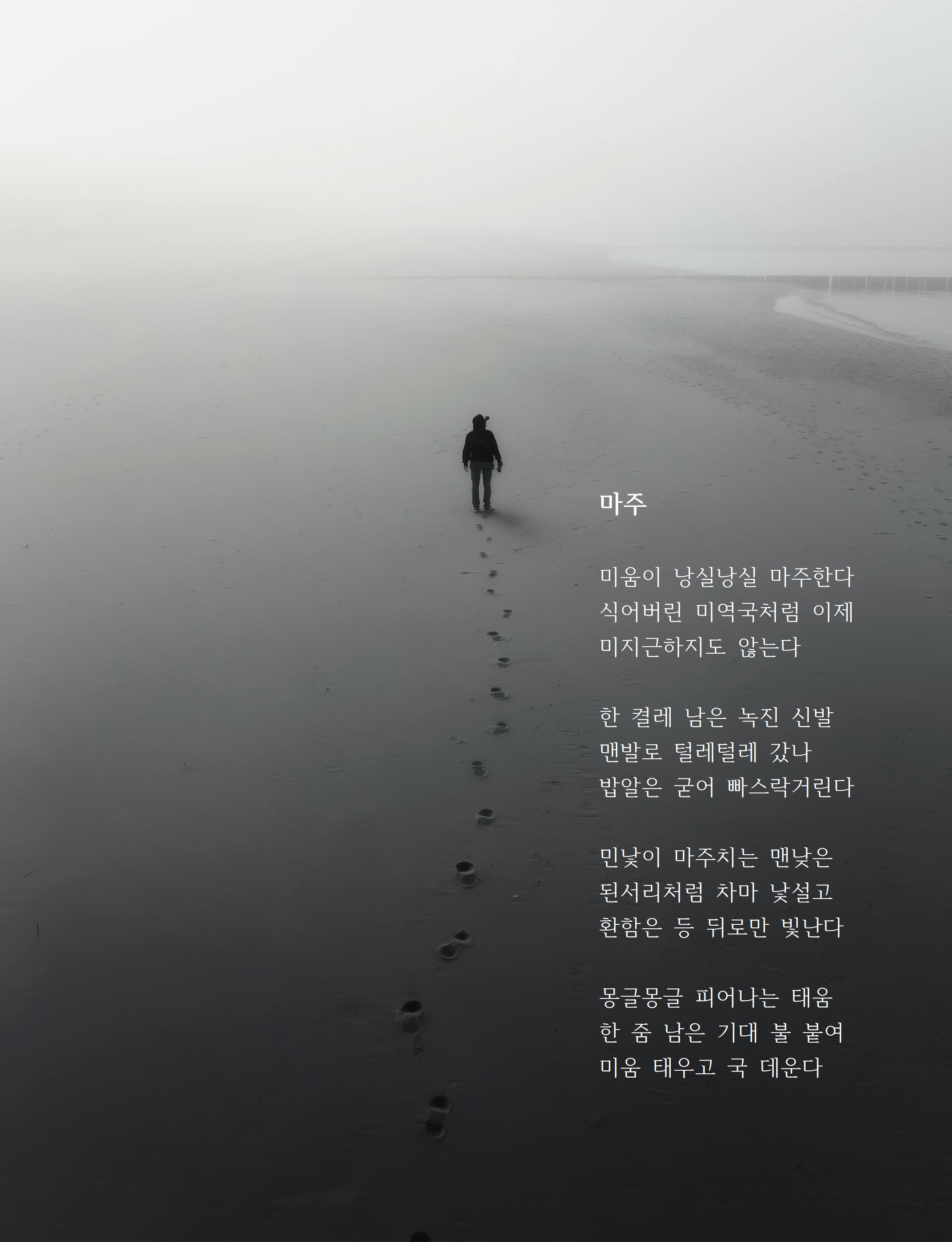 마주.jpg