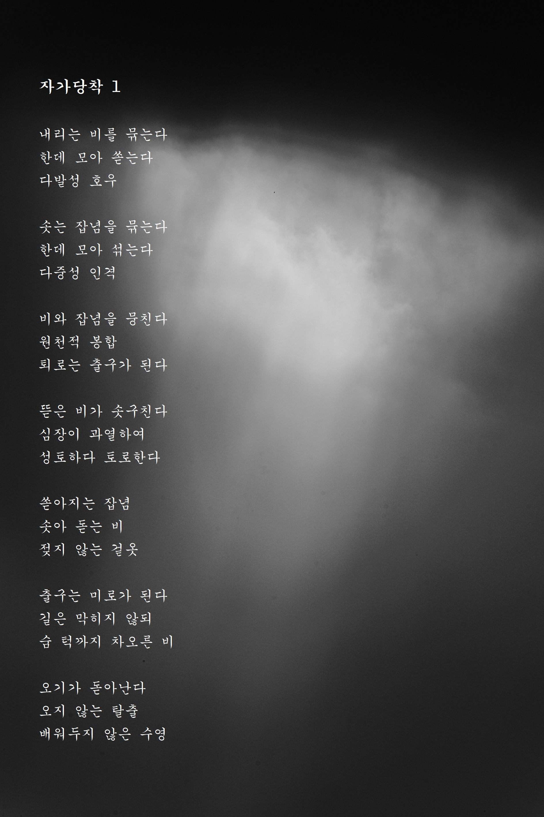 자가당착 1.jpg