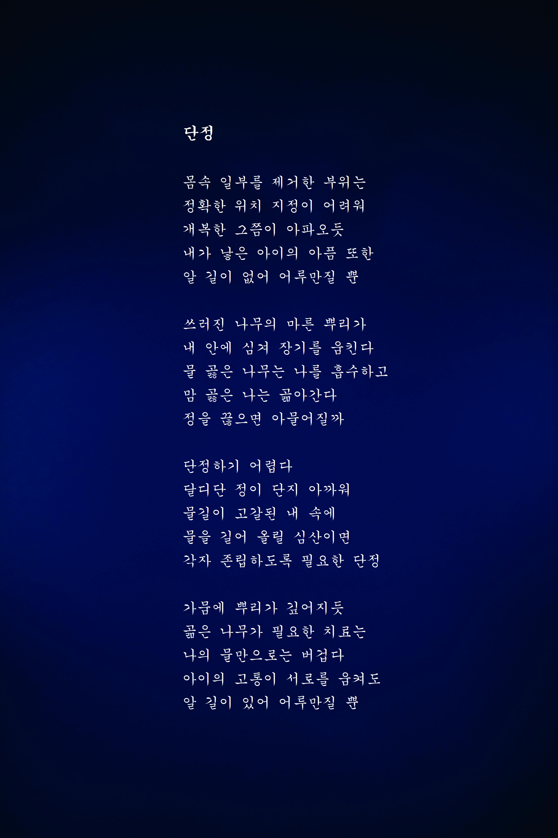 단정.jpg