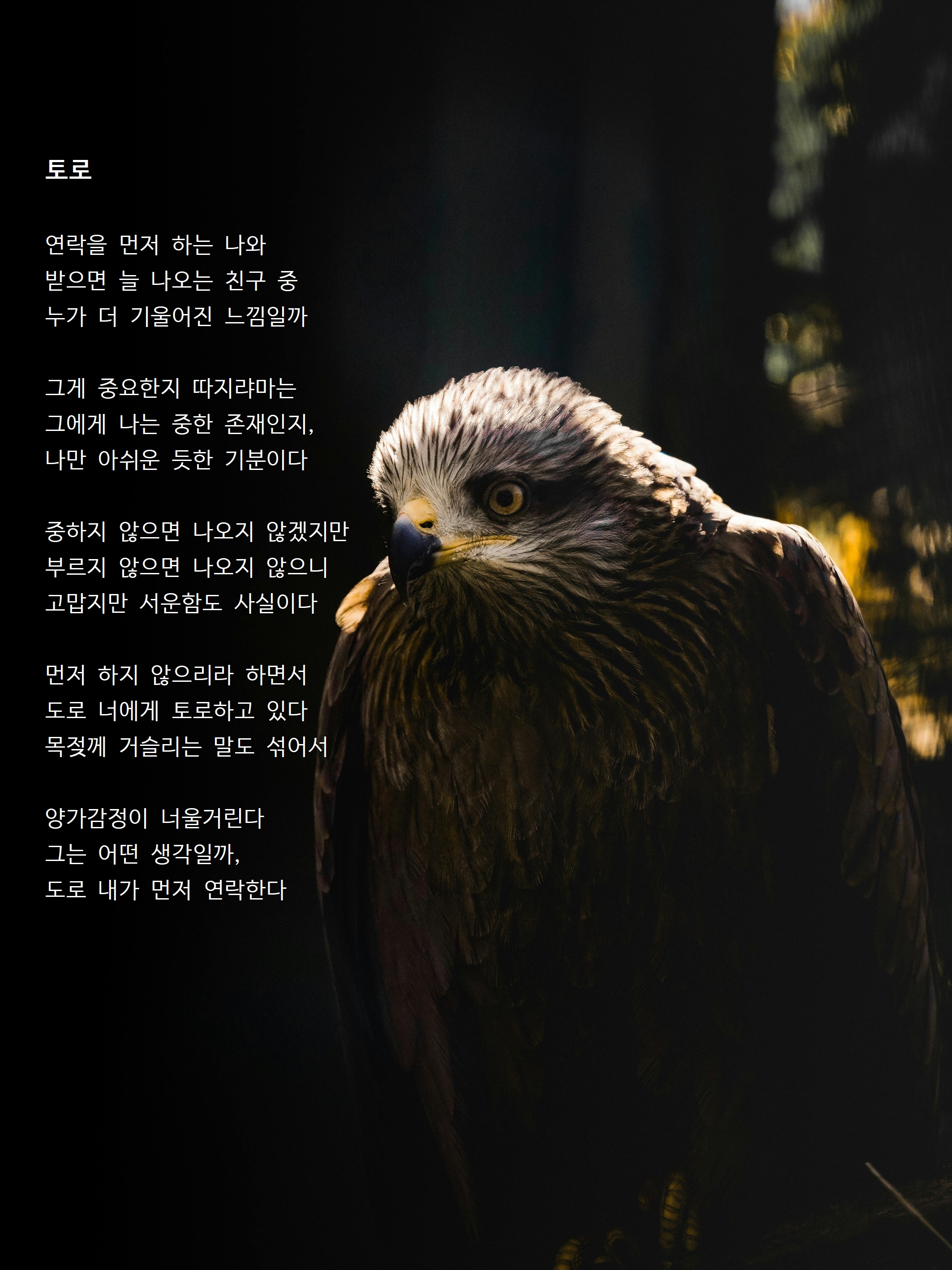 토로.jpg