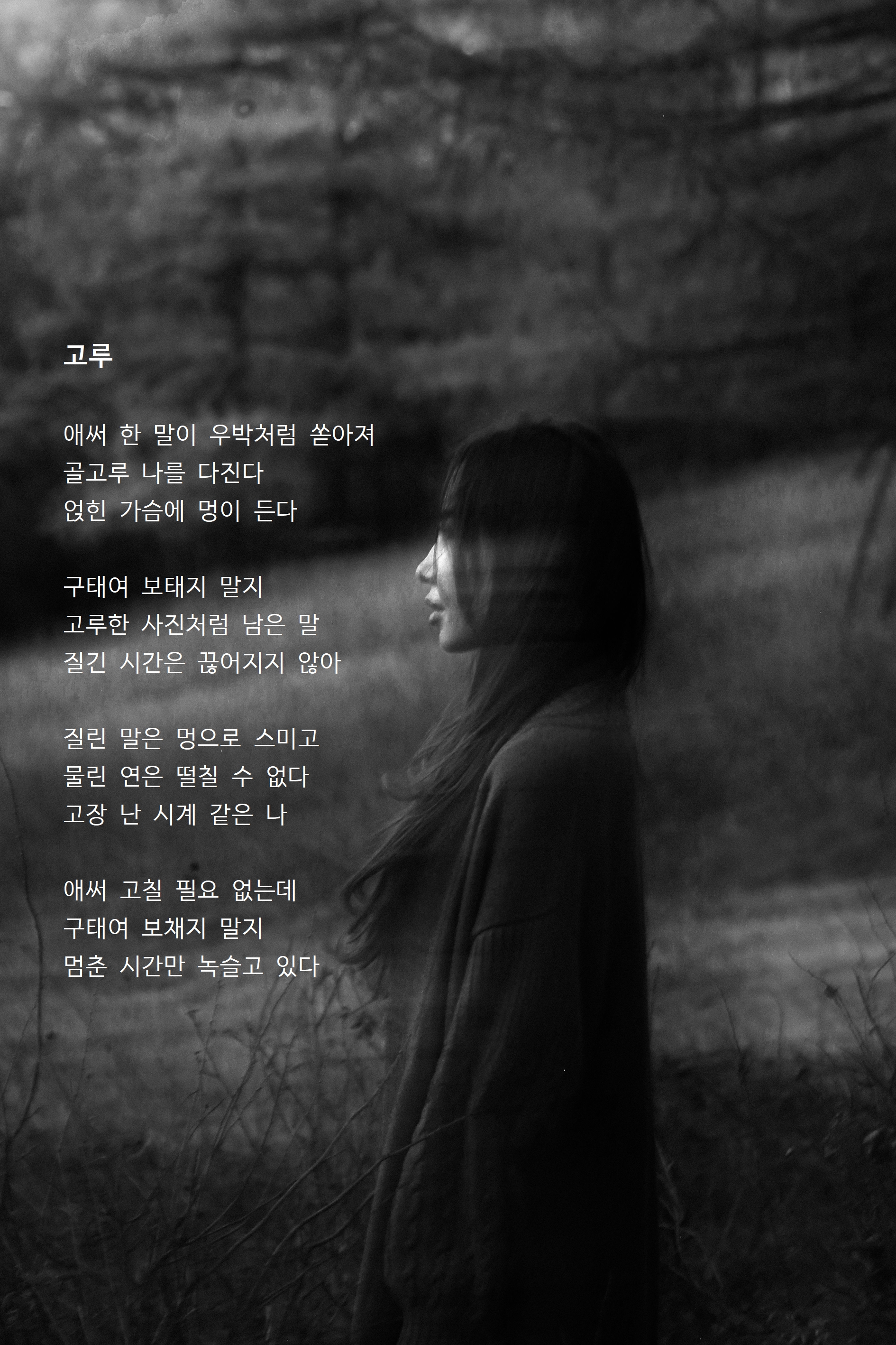 고루.jpg