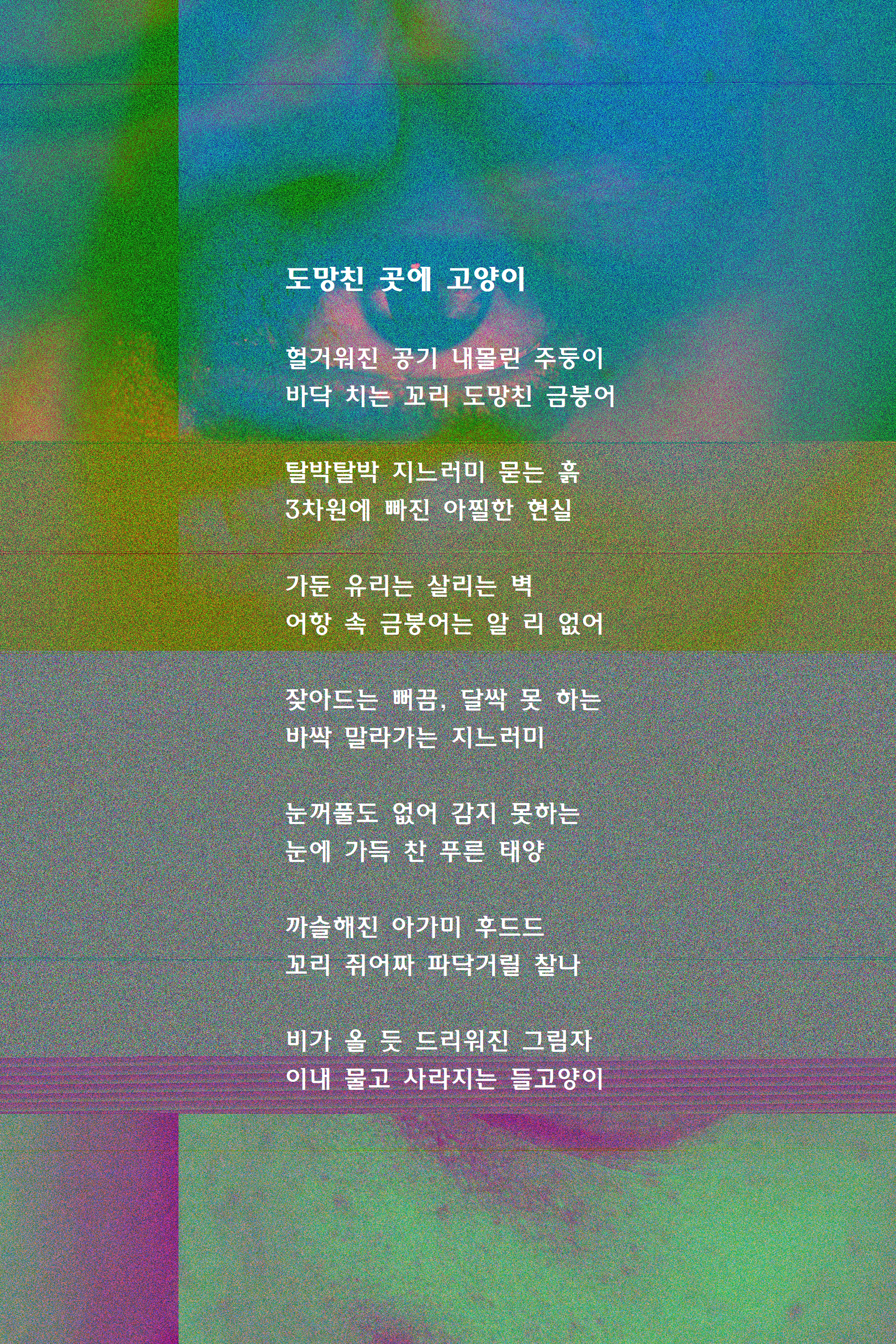 도망친 곳에 고양이.gif