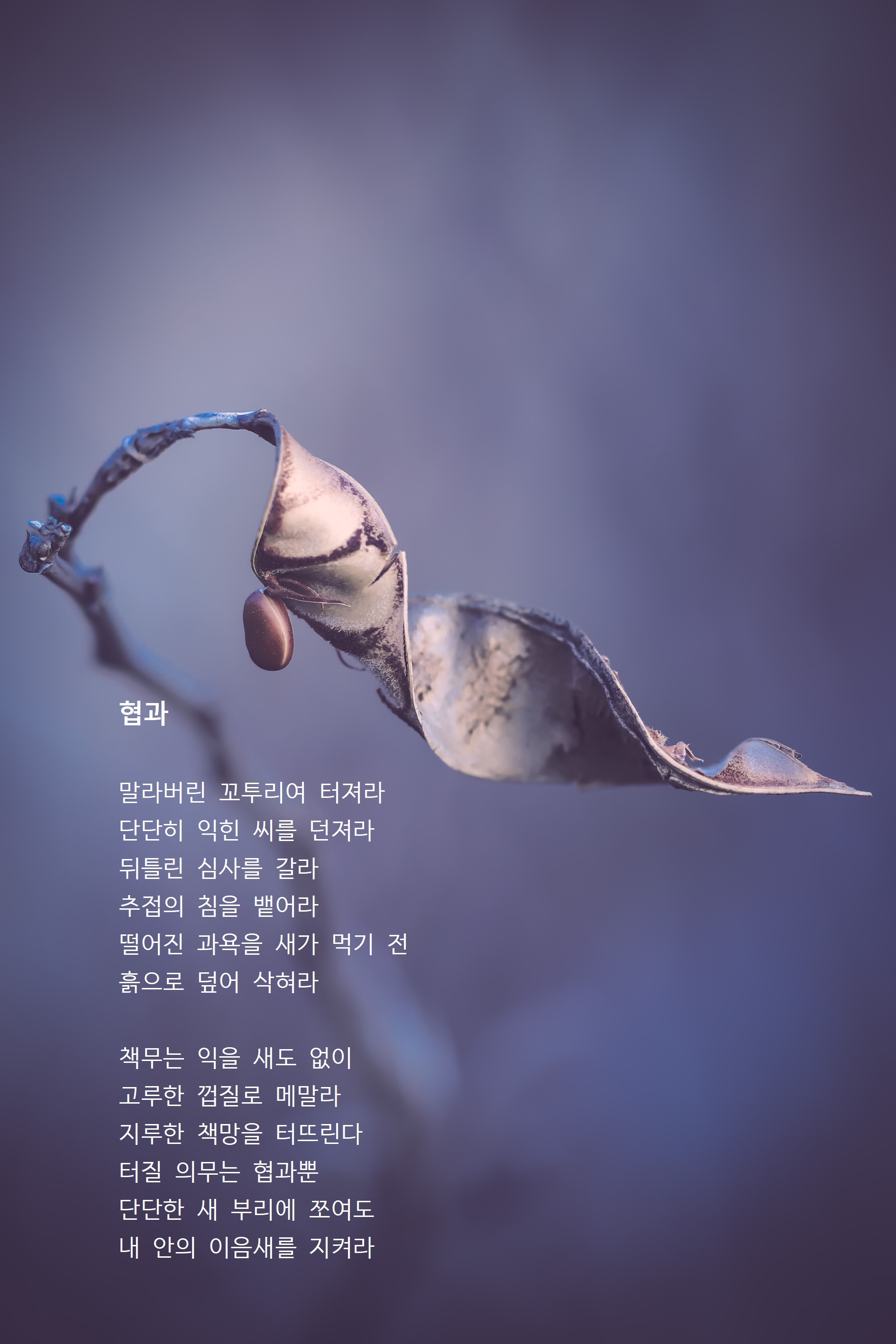 협과.jpg