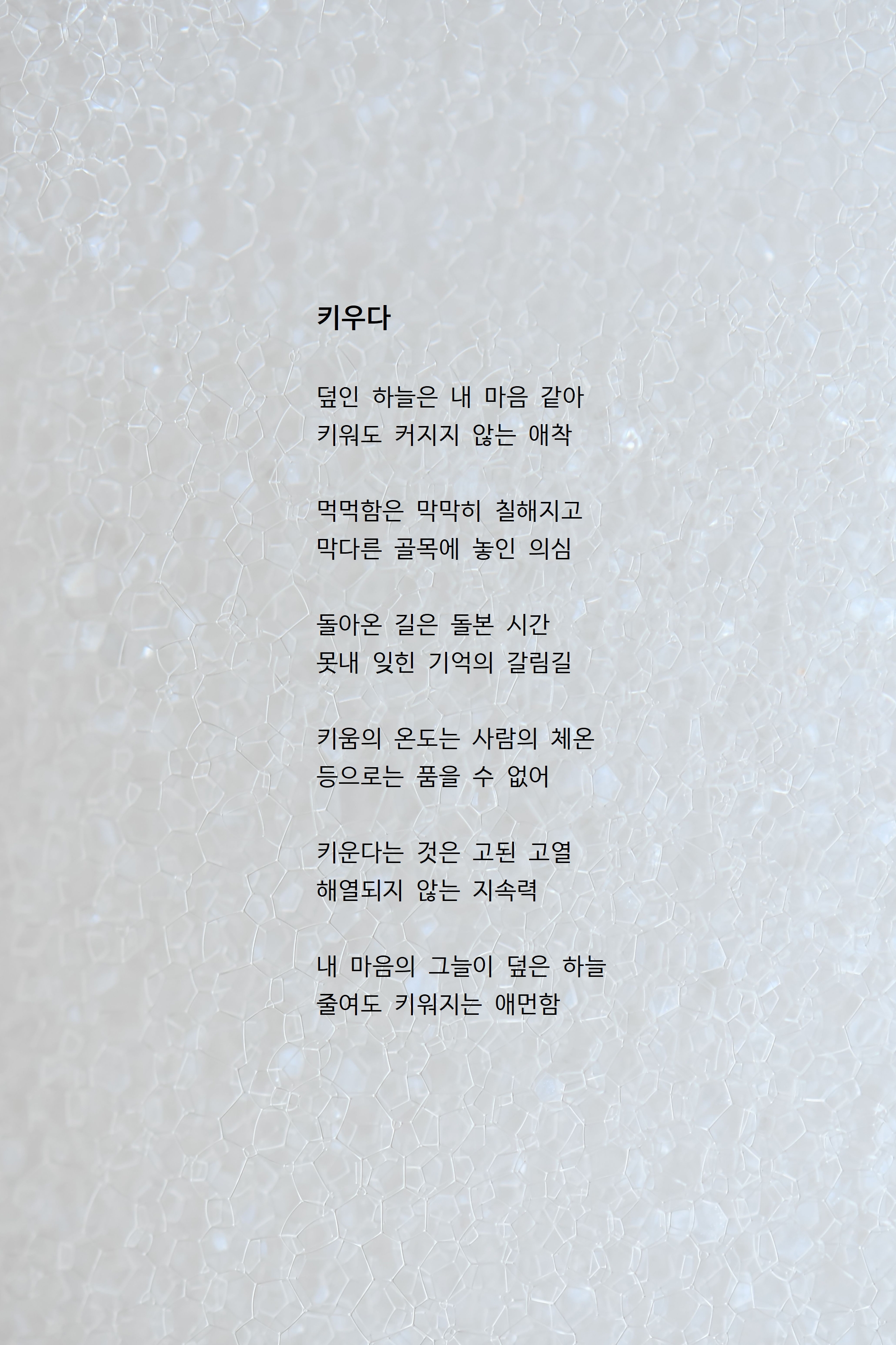키우다.jpg