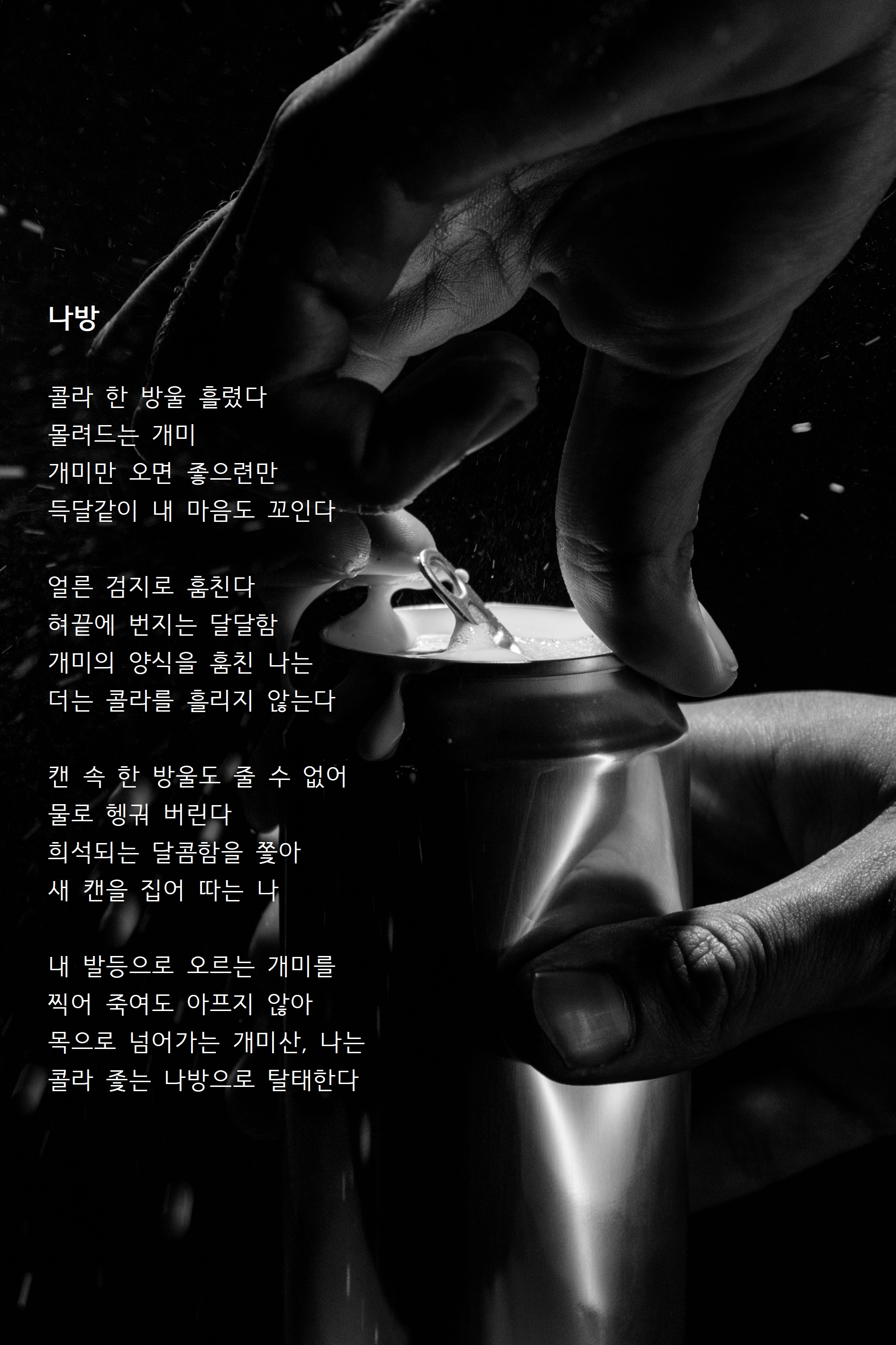 나방.jpg