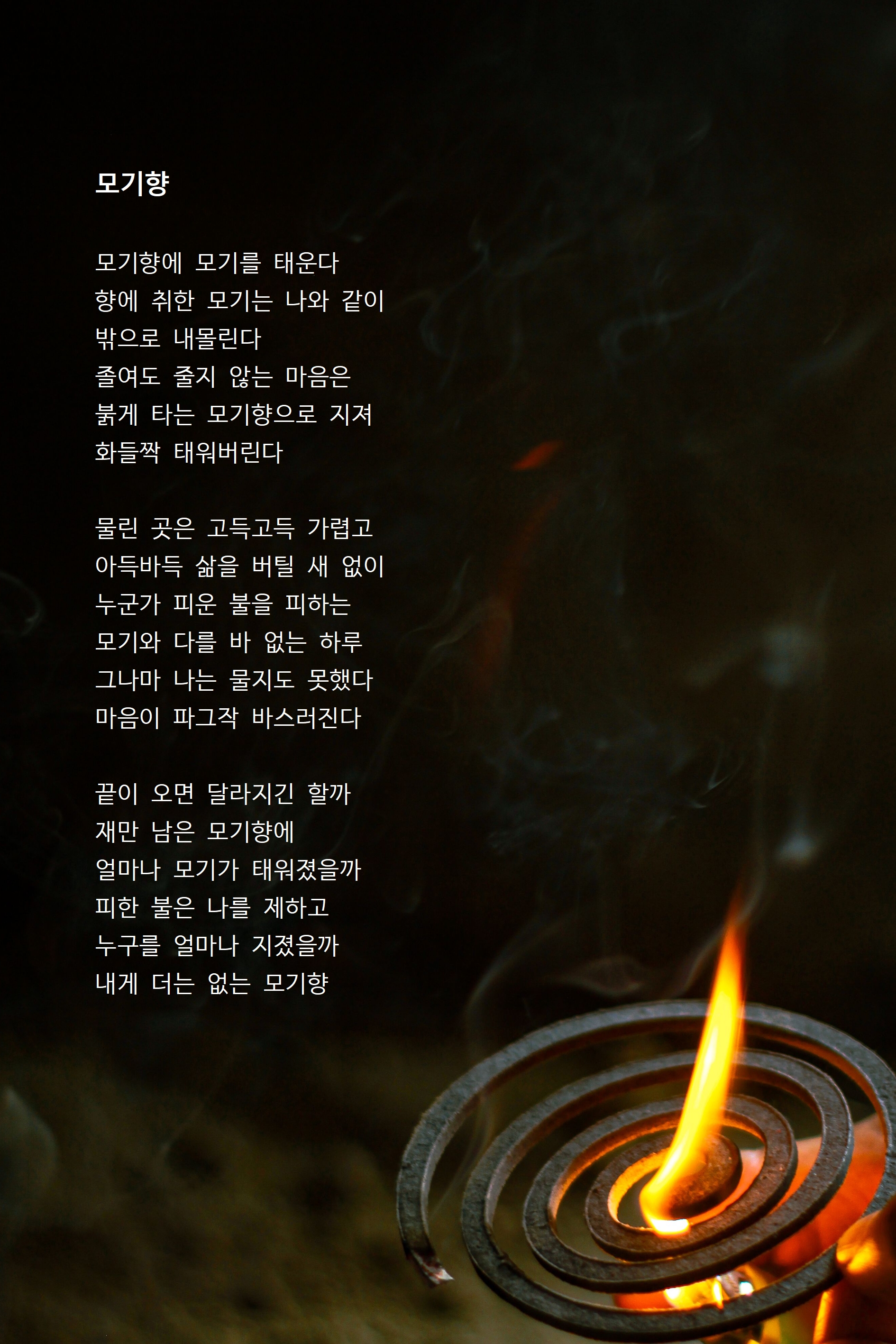 모기향.jpg