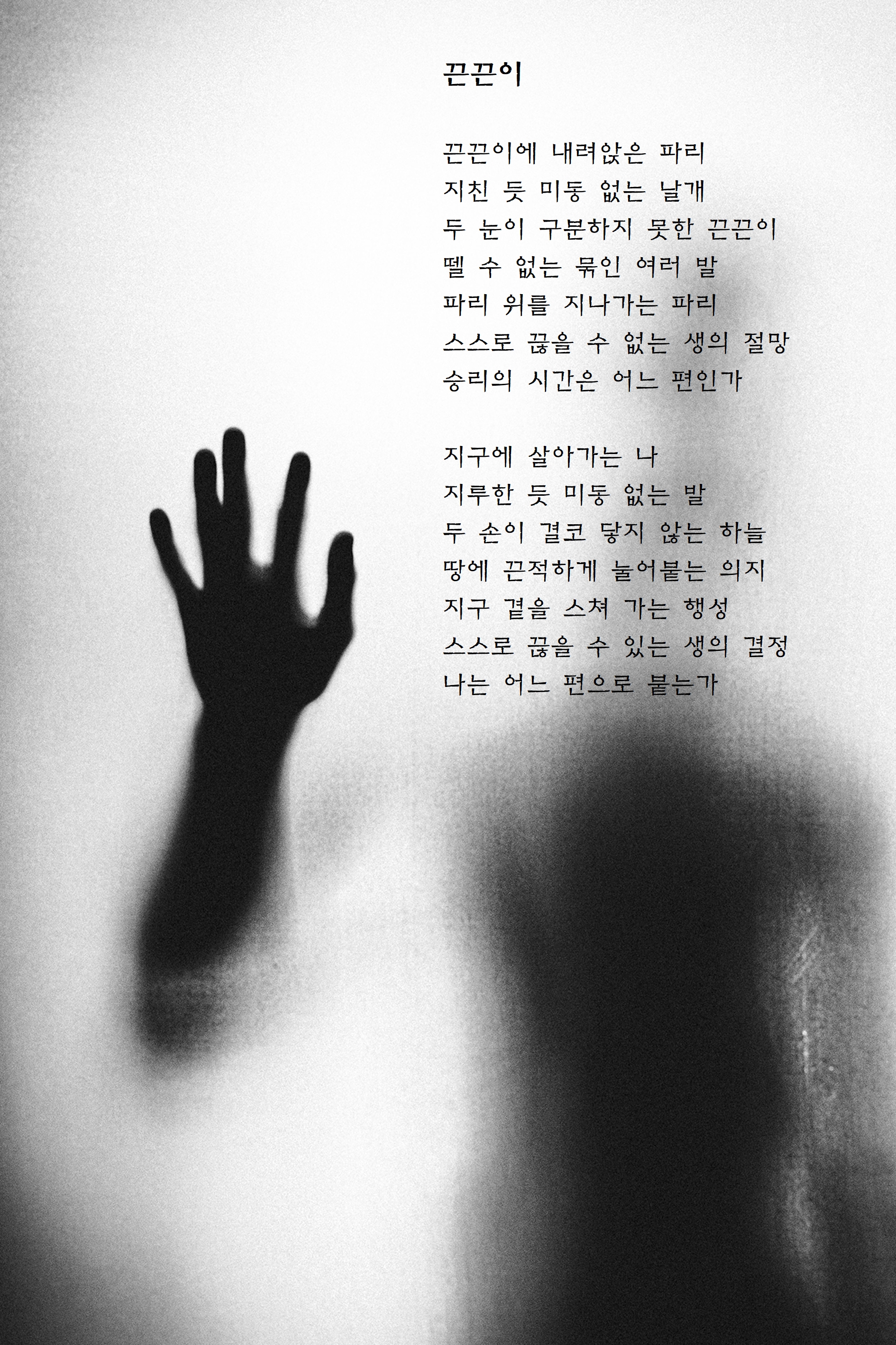 끈끈이.jpg