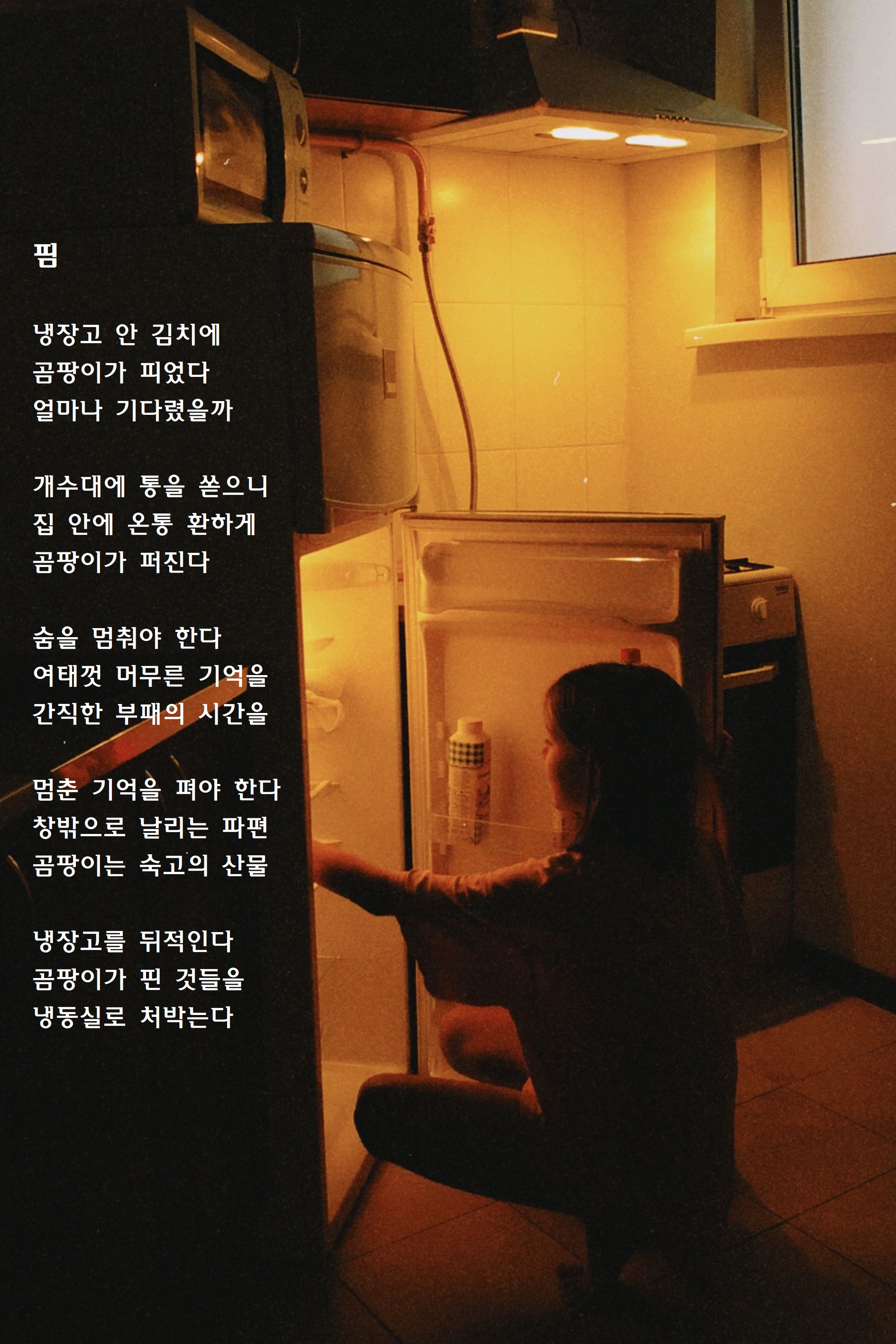 핌.jpg