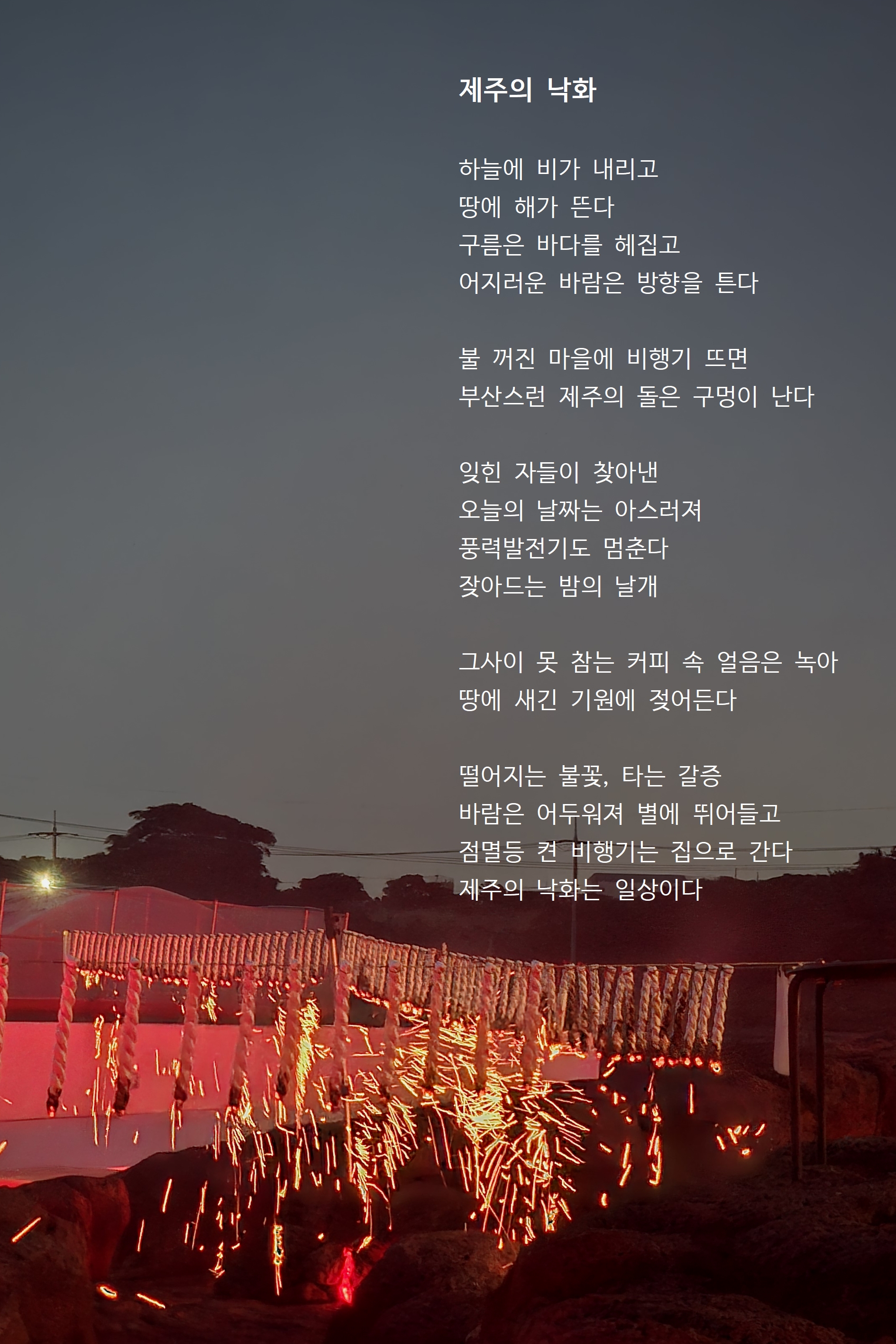 제주의 낙화.jpg