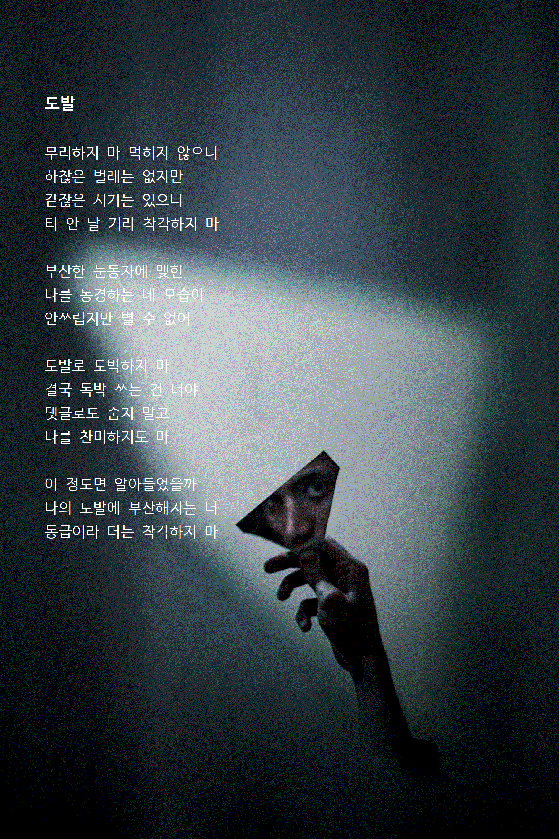 도발.gif