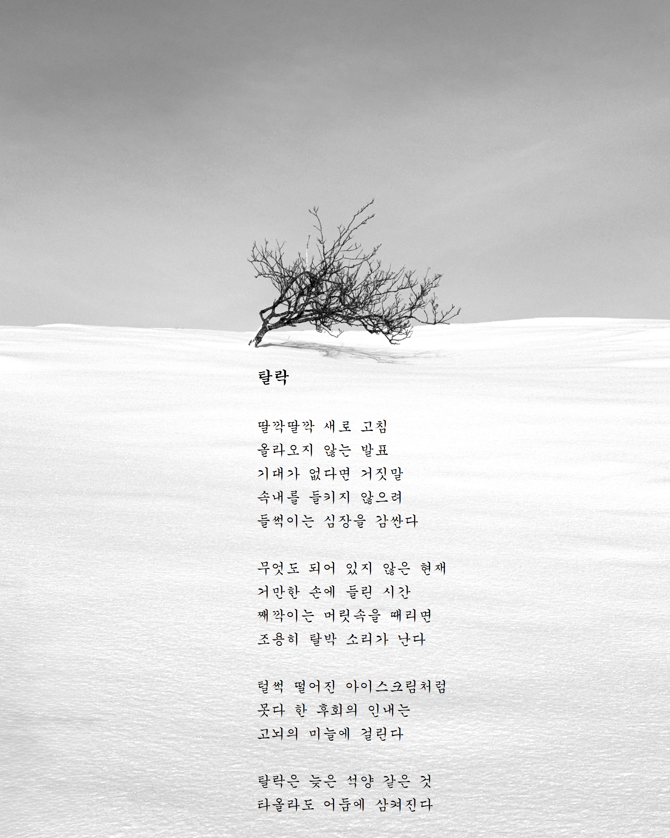 탈락.jpg