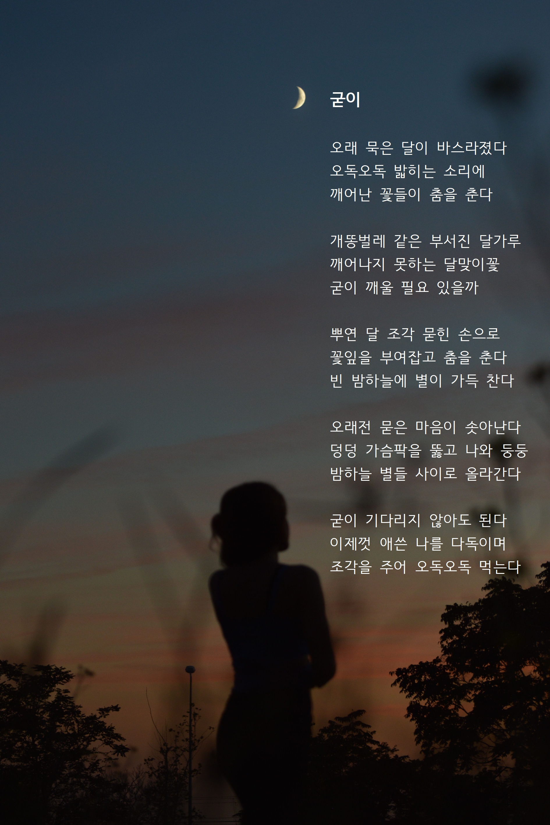 굳이.jpg