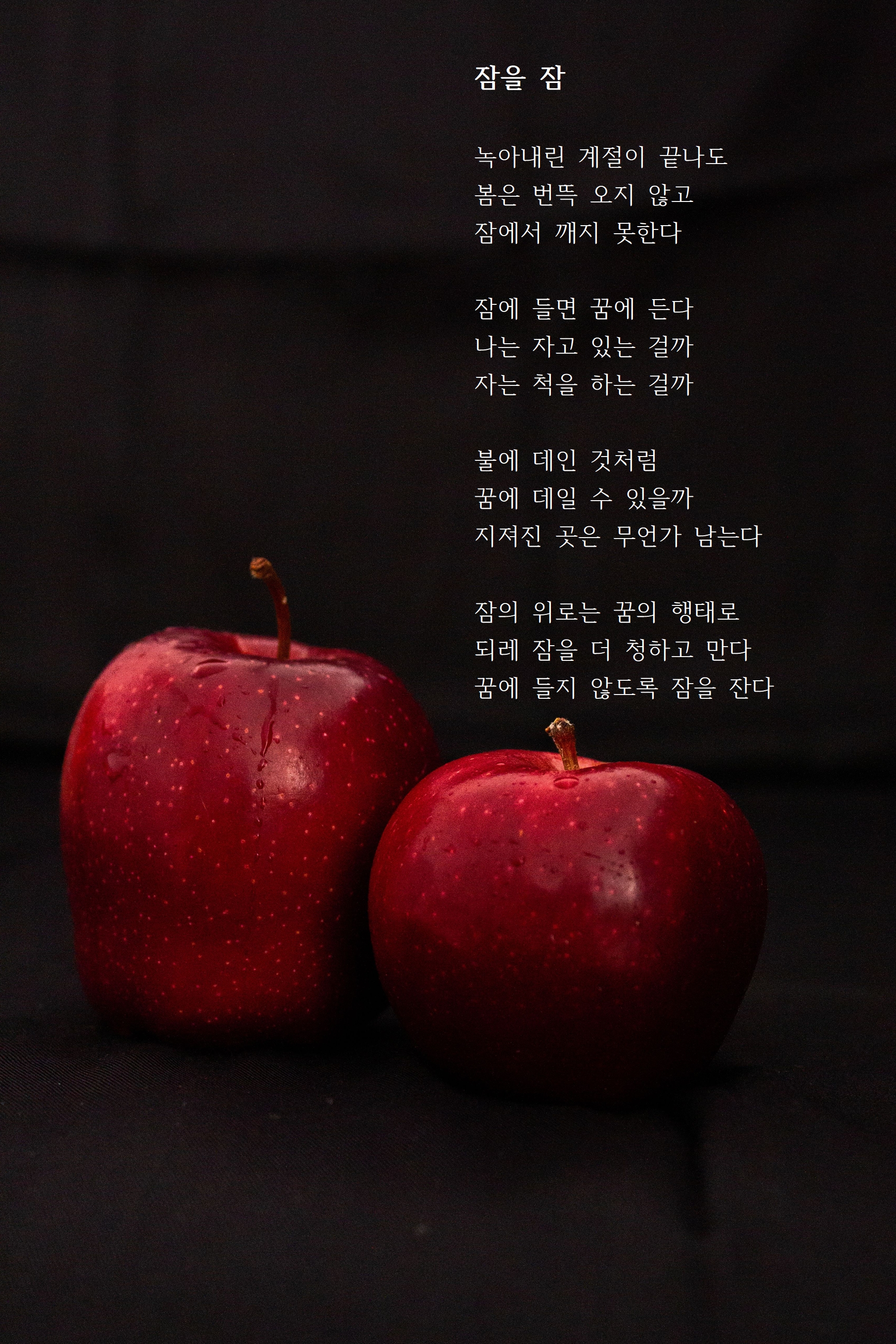 잠을 잠.jpg