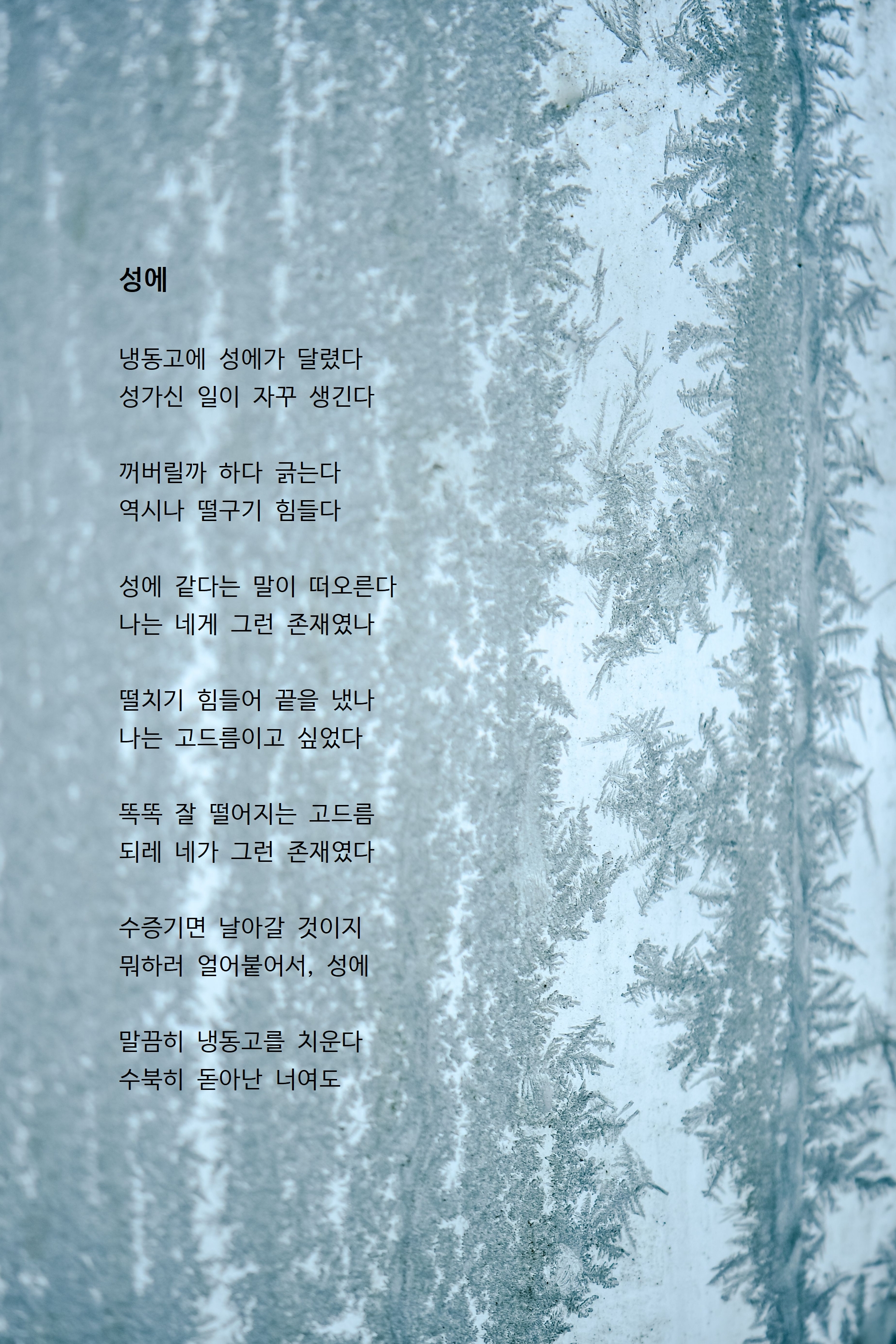 성에.jpg
