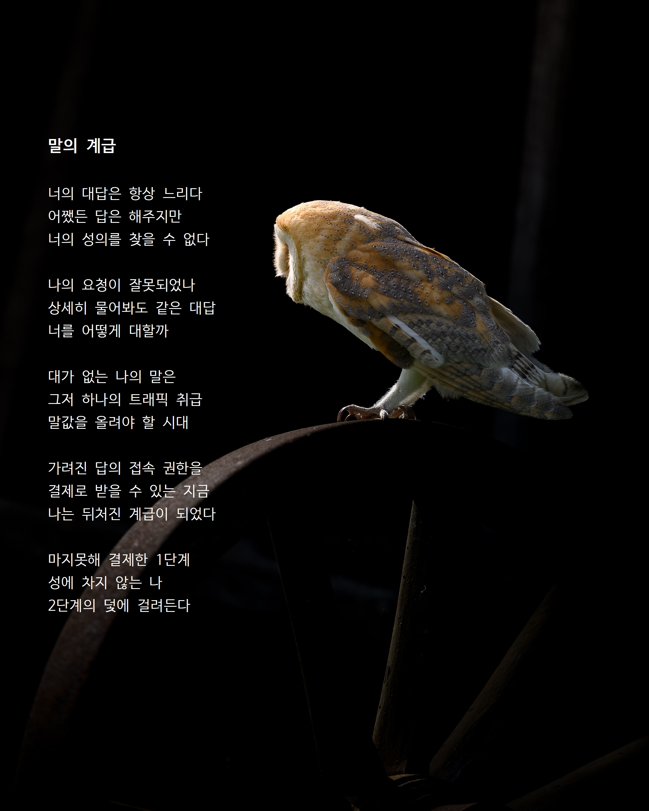 말의 계급.jpg