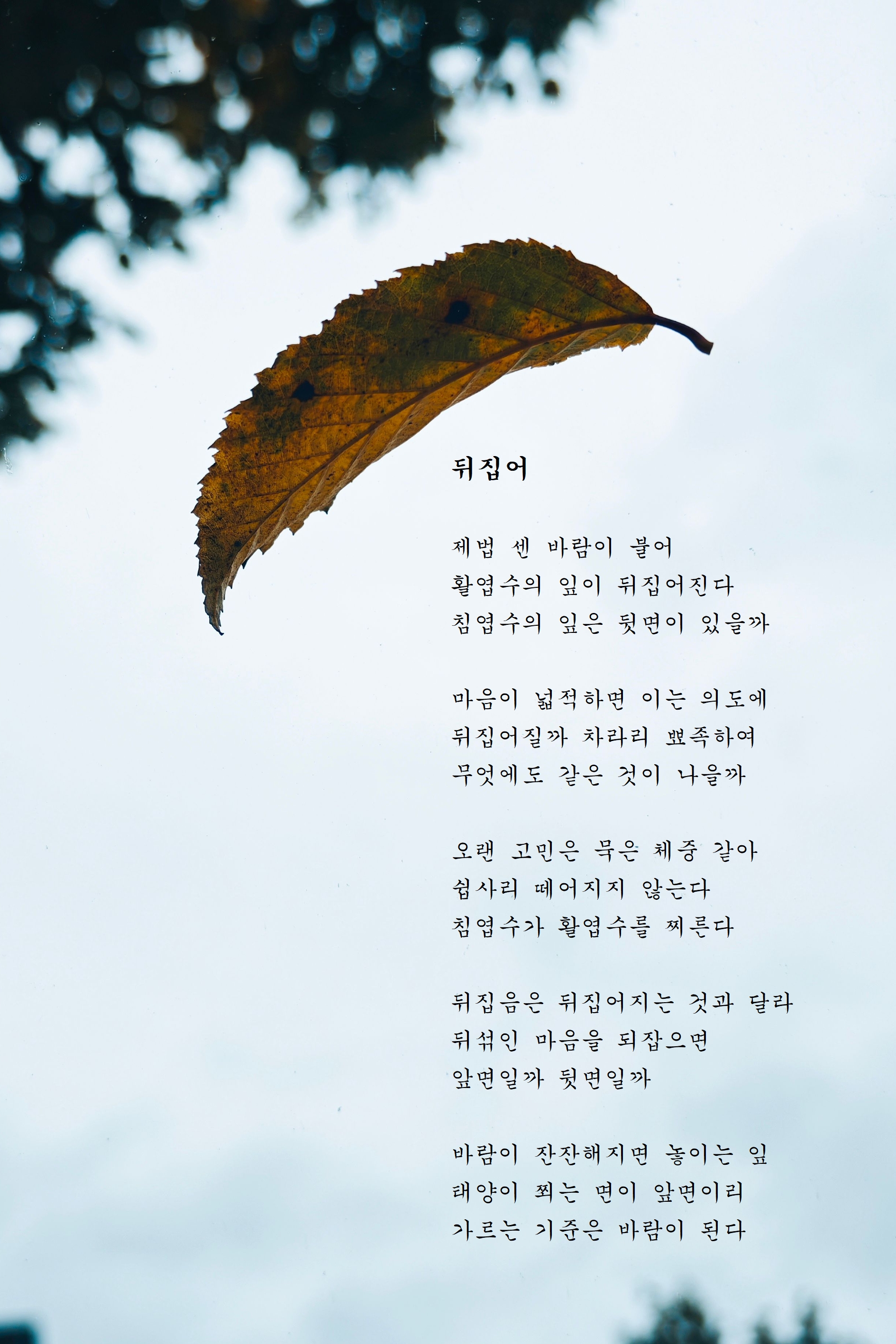 뒤집어.jpg