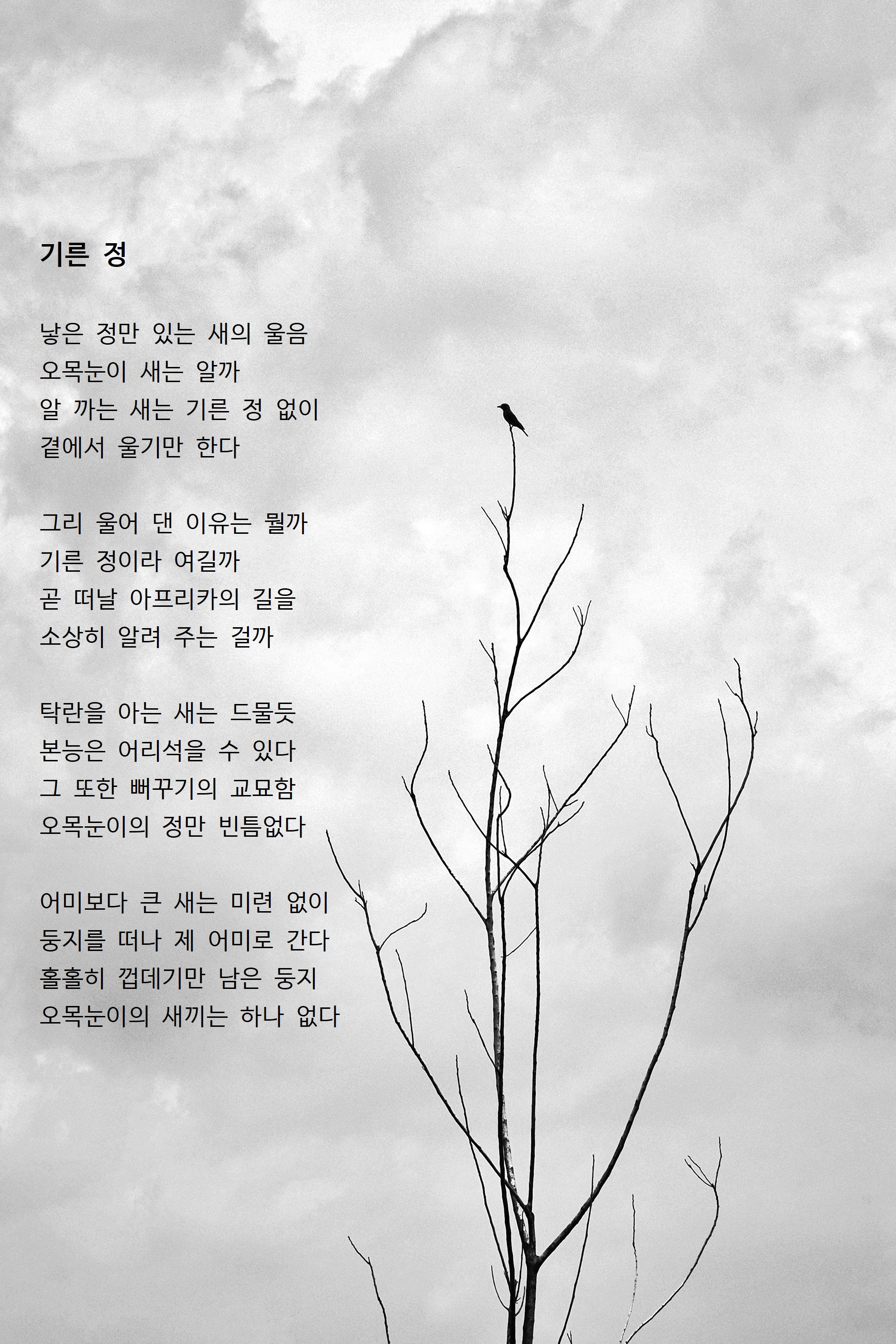 기른-정.jpg